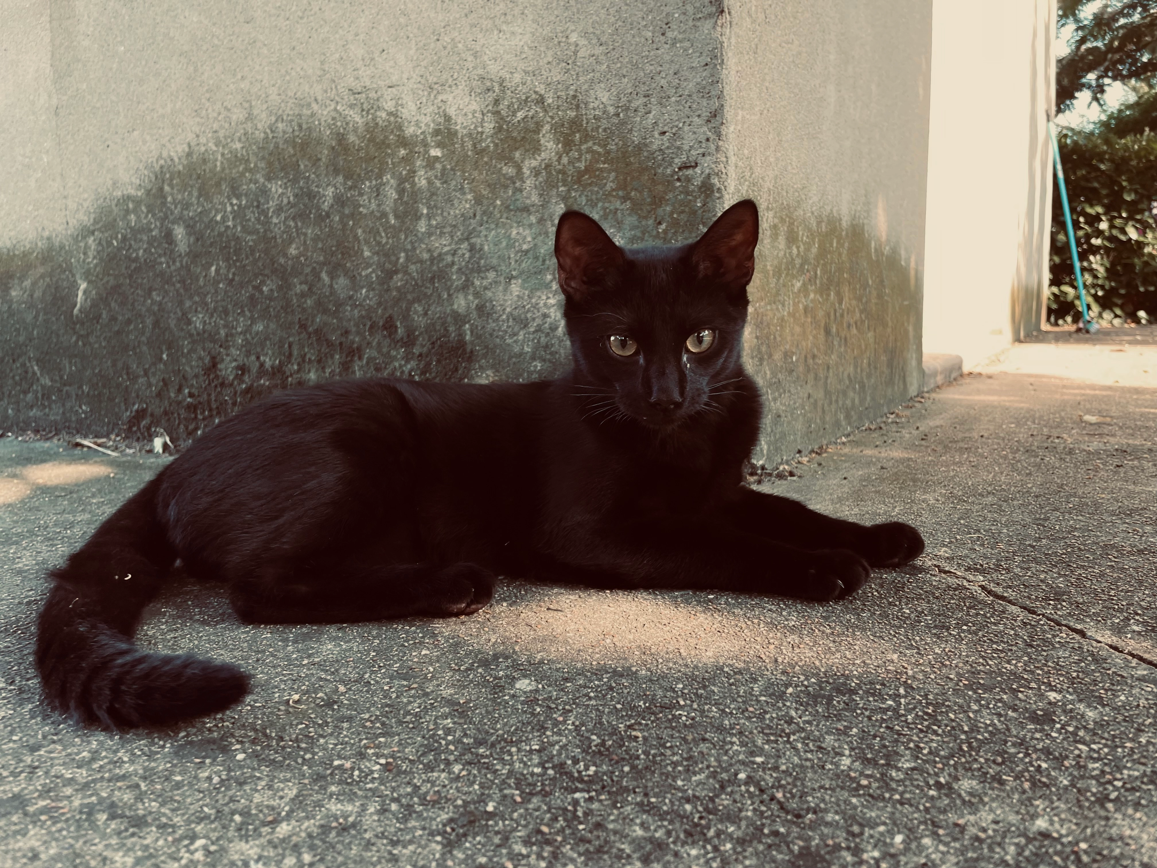 Tyron - 6 Rue Louis Pergaud, Vénissieux