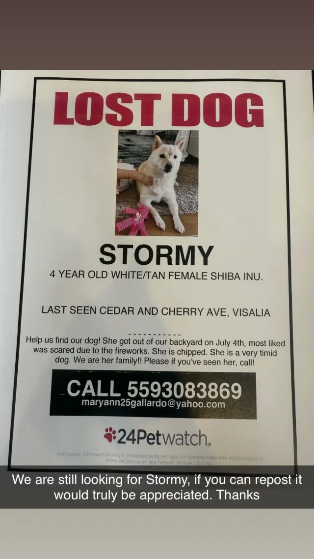Stormy - 2607 S Cedar St, Visalia
