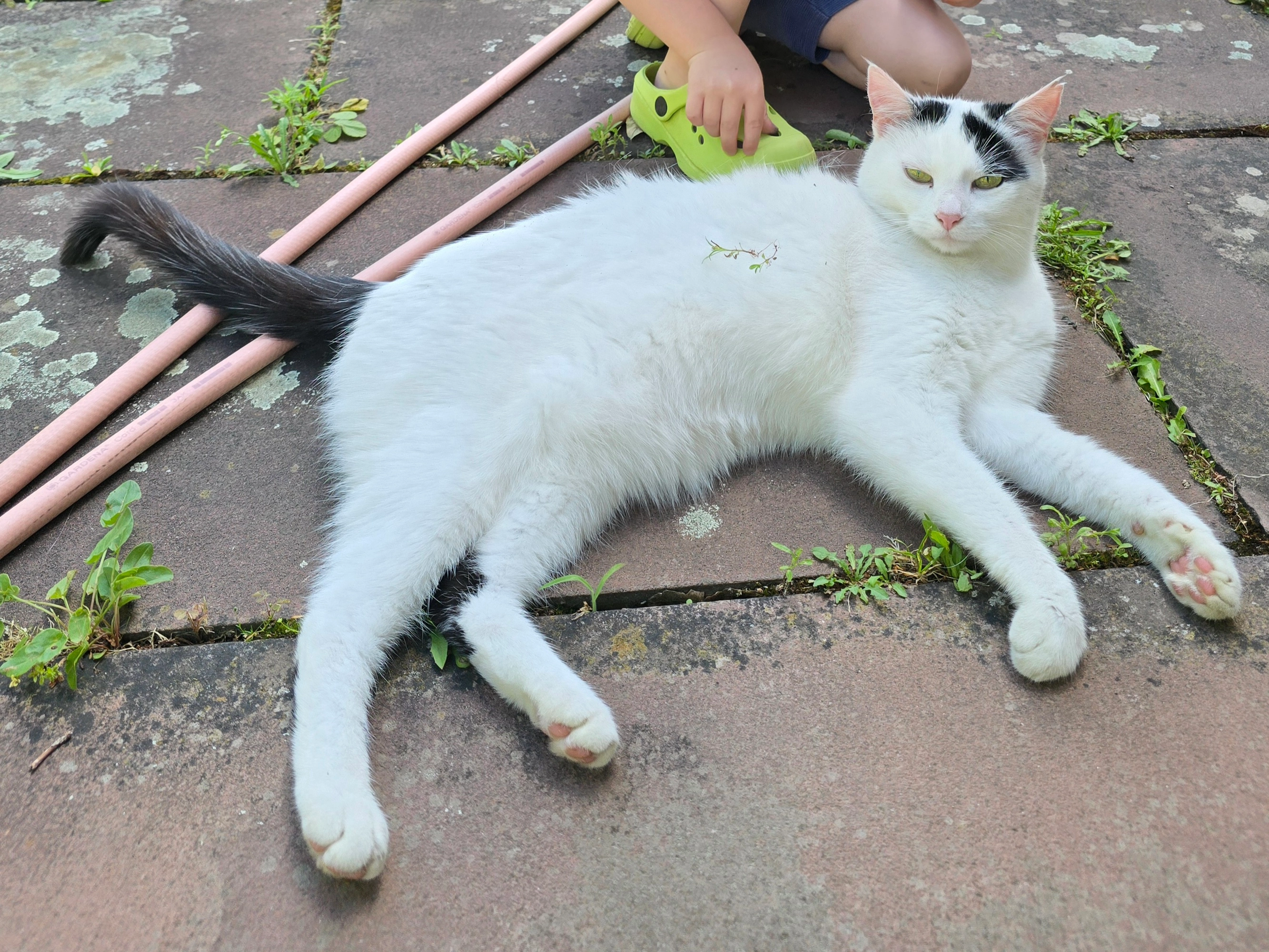 NICI - Setzgasse, Miltenberg