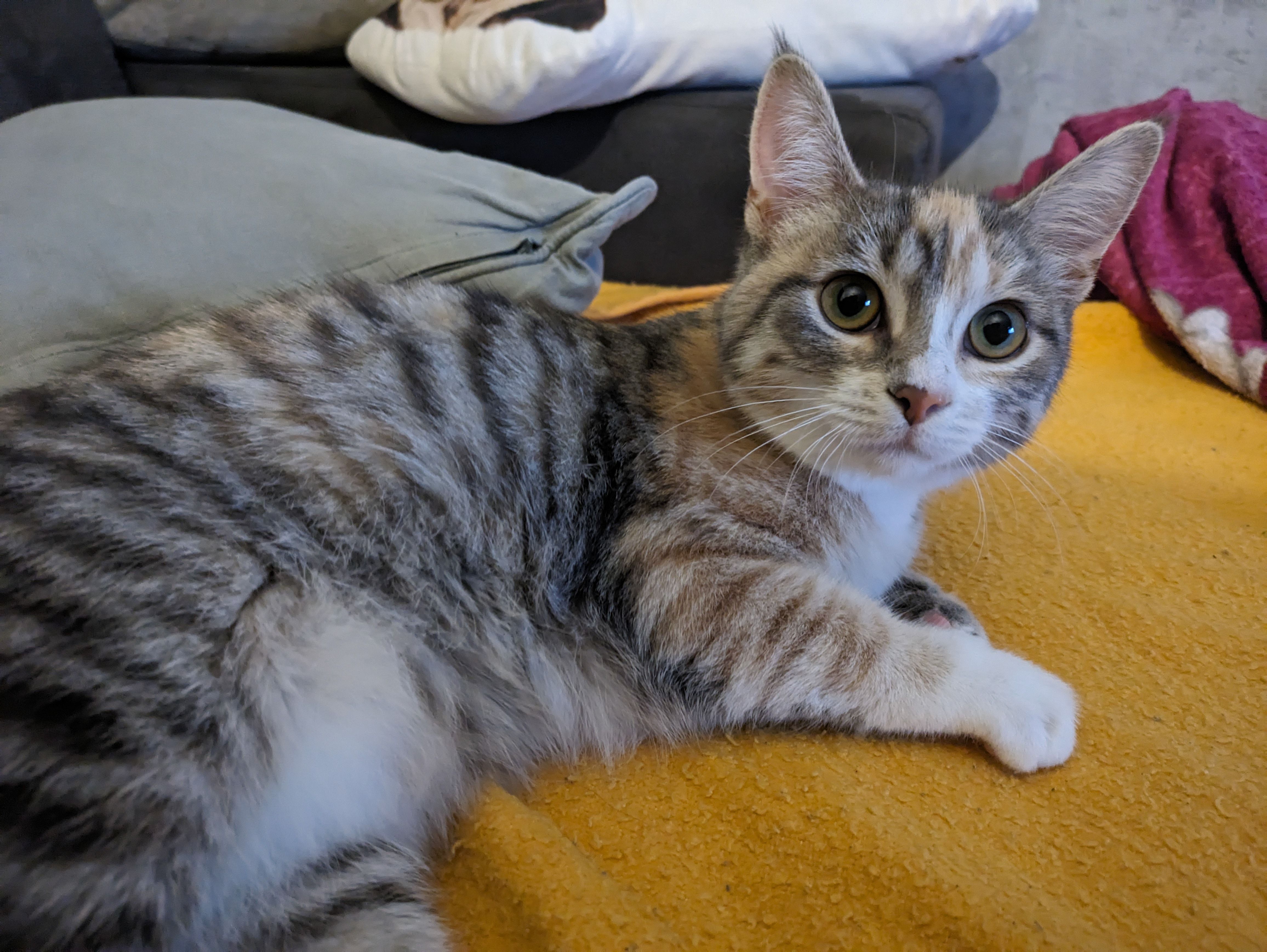 kaya - An der Schlage, Brilon