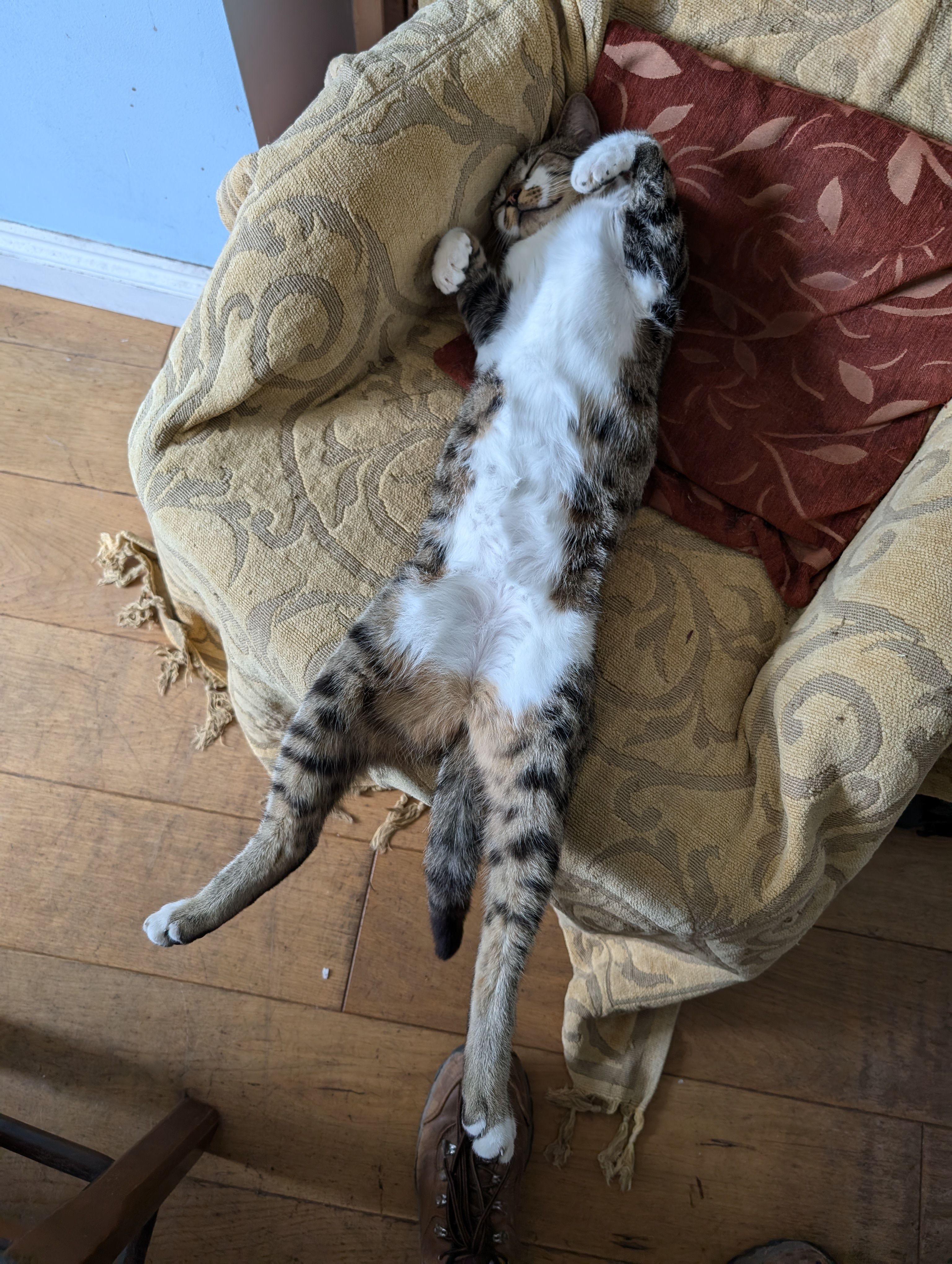 Morris - Webbington Road, Axbridge