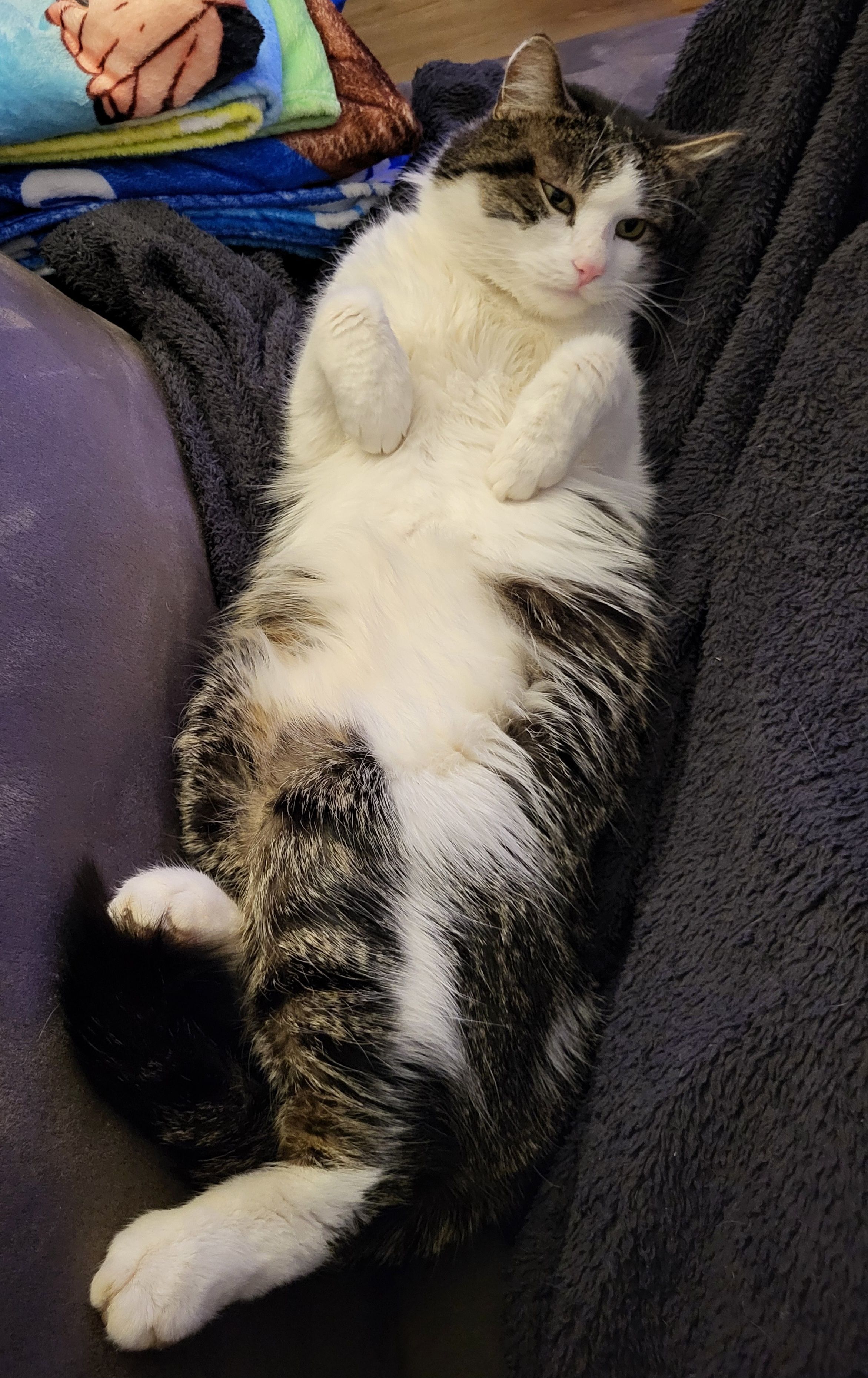 Burli - Ahornstraße 11, Wendling