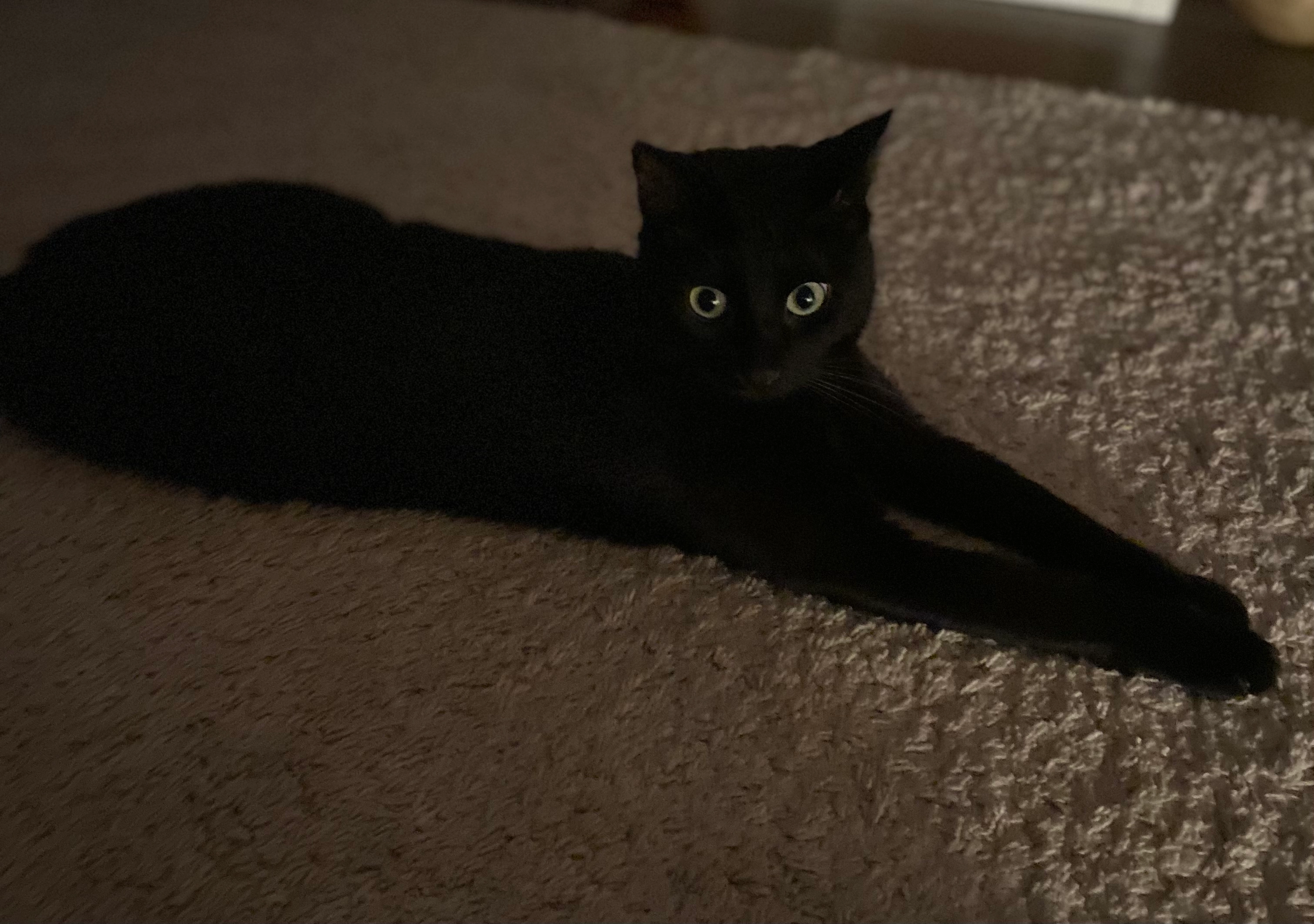 Toto - Bernauer Straße, Berlin