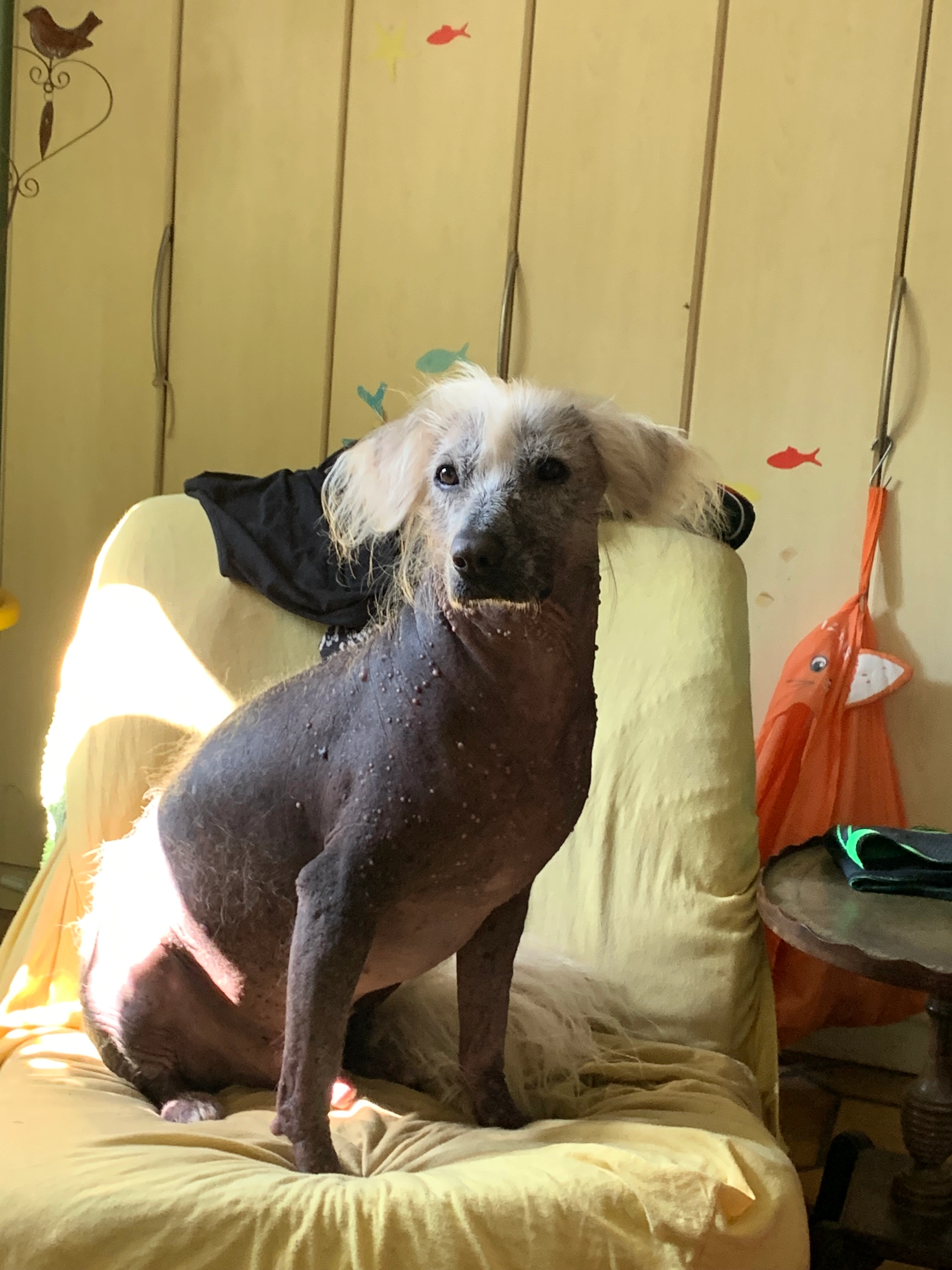 Nuts  - Route Des Moulins, Granges-près-Marnand