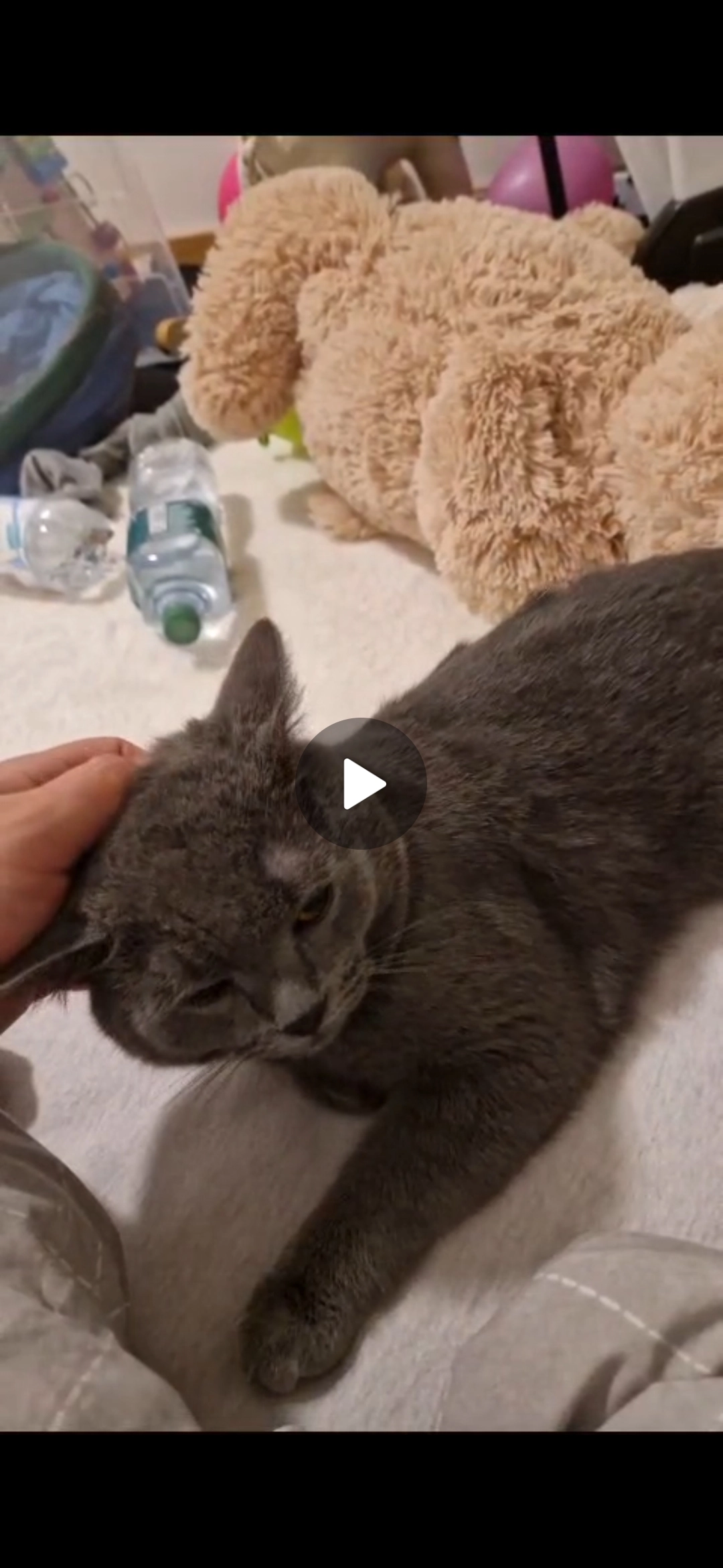 Pamuk - Ada-Lovelace-Straße, Ottobrunn