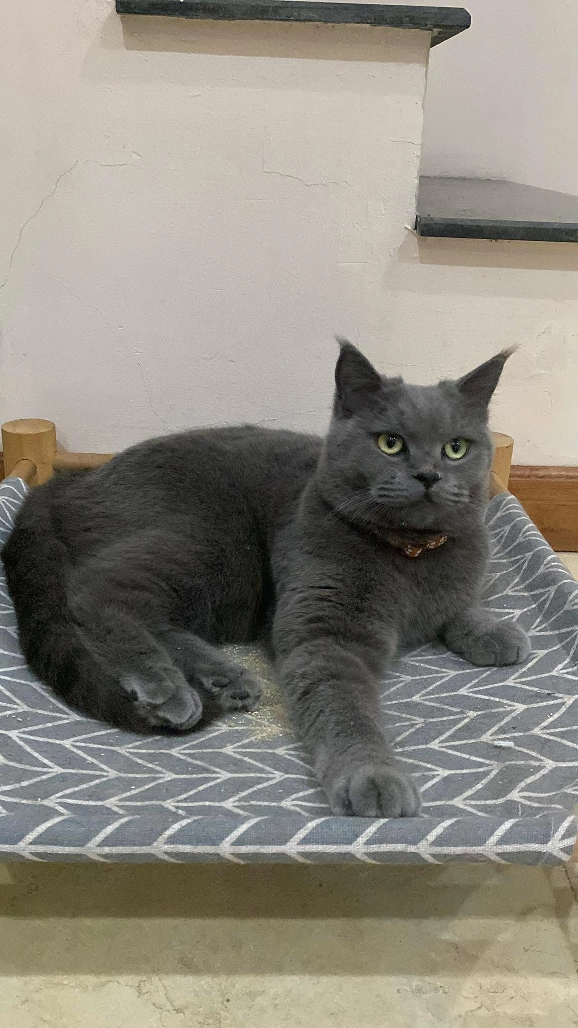 Tito - Ngõ 285 Đội Cấn, Hà Nội