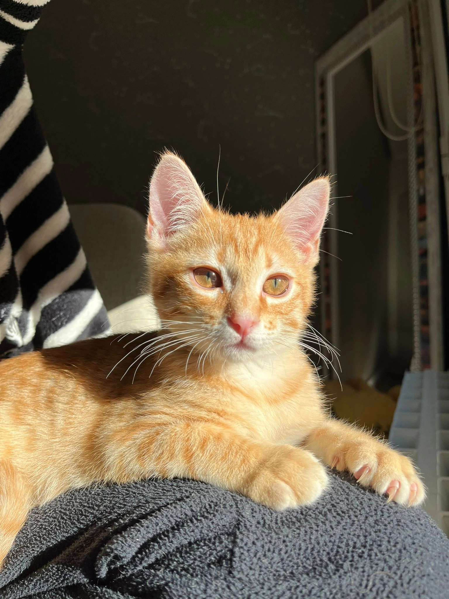 koda - Calle Arbidea, Bilbao