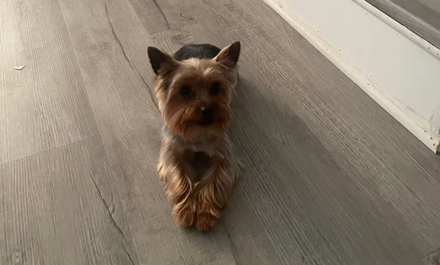 Milo - Wyngate Rd, Suitland