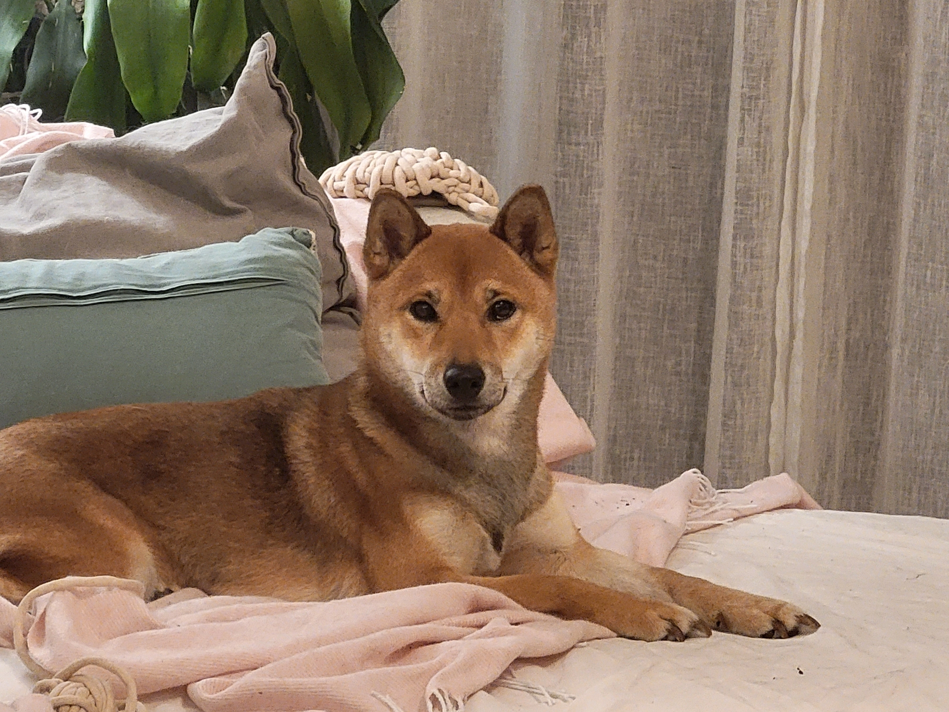 Tany - Route De Pourrières, Trets