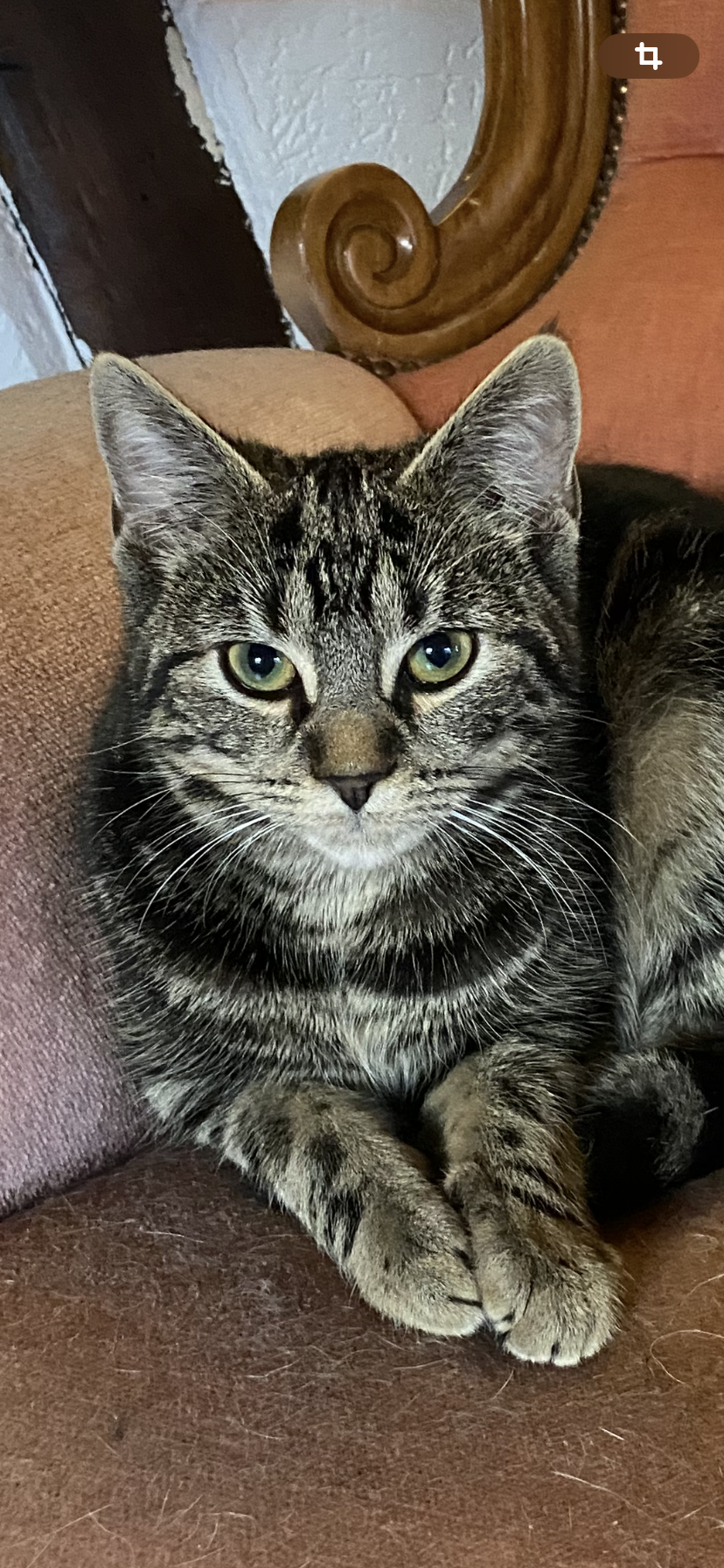 Talys - 17 Place du Marché, Wasselonne