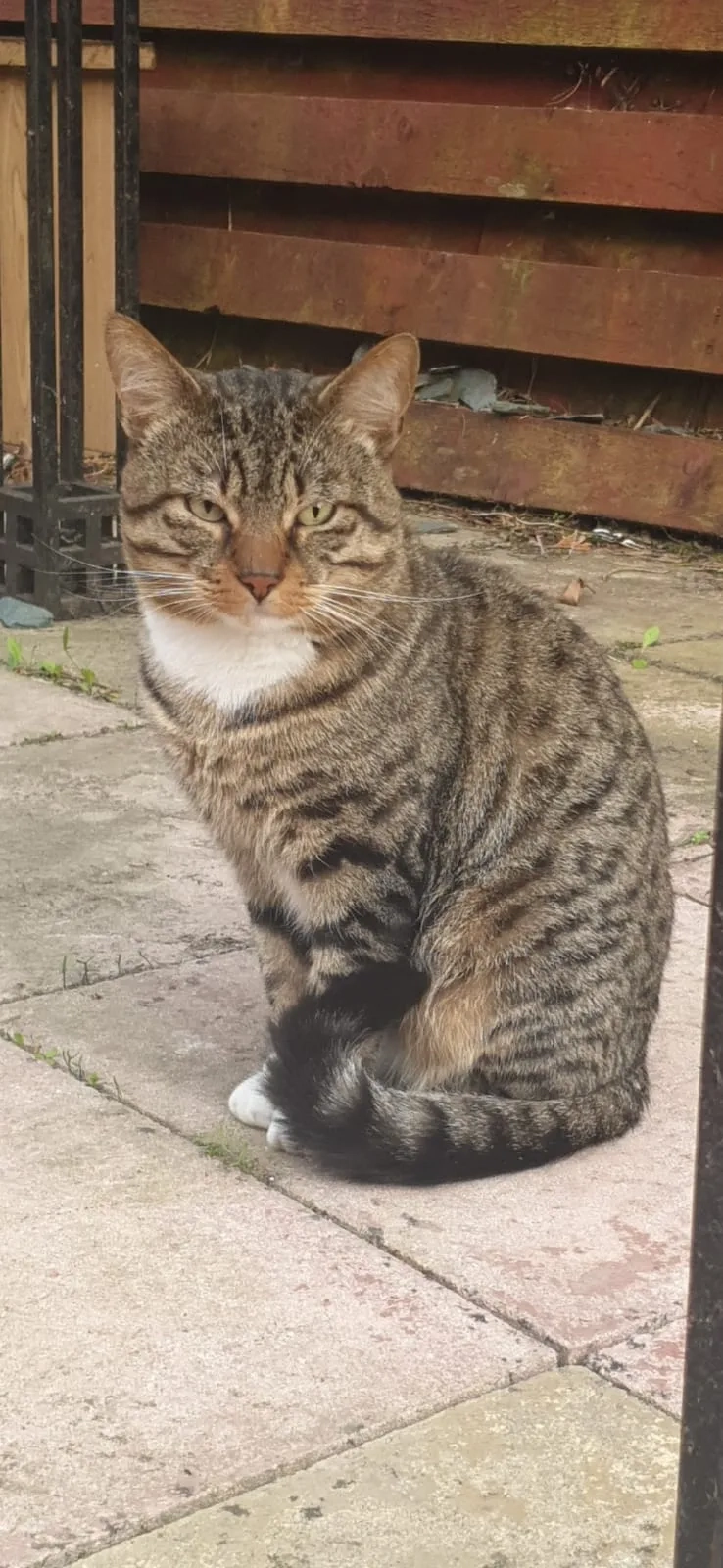 Gregor - Margaretvale Drive, Larkhall