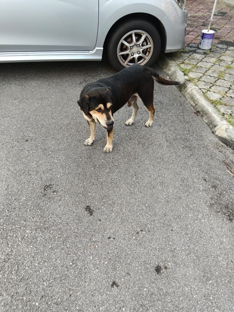 Ong ong - Jalan Kajang, Georgetown