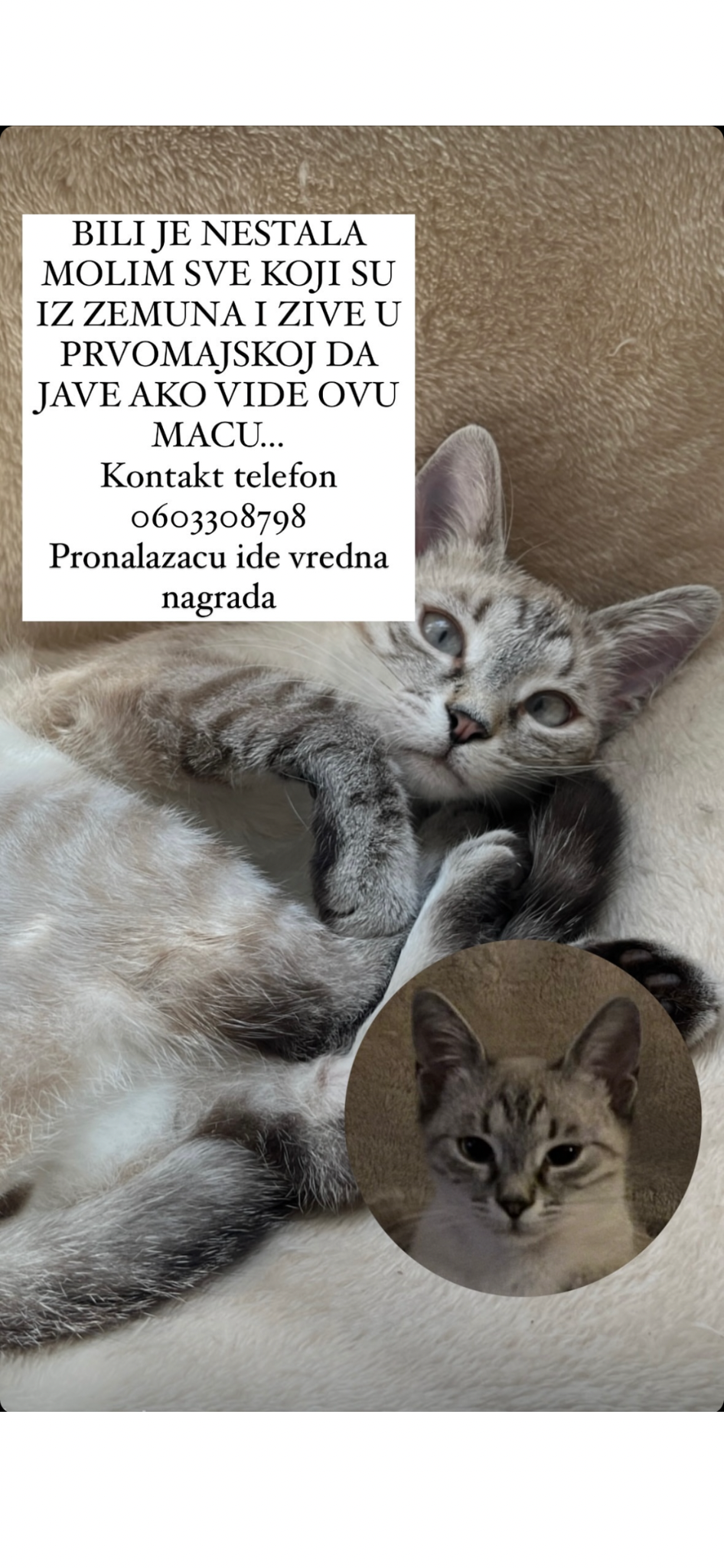 Bili - Првомајска, Belgrade