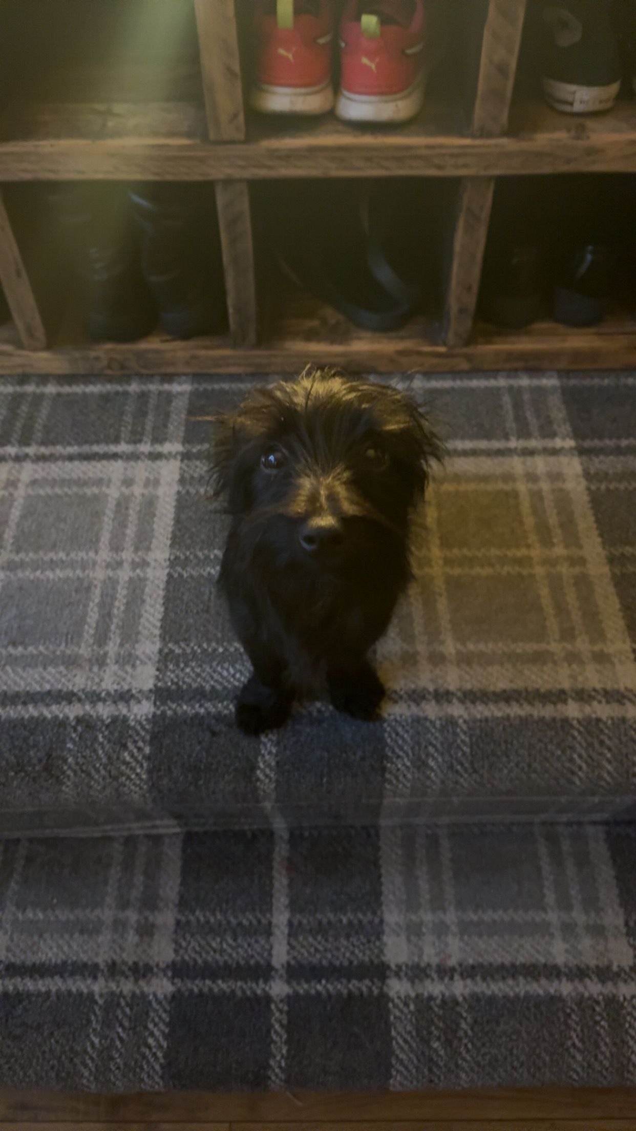 reggie - Orrell Road, Skelmersdale