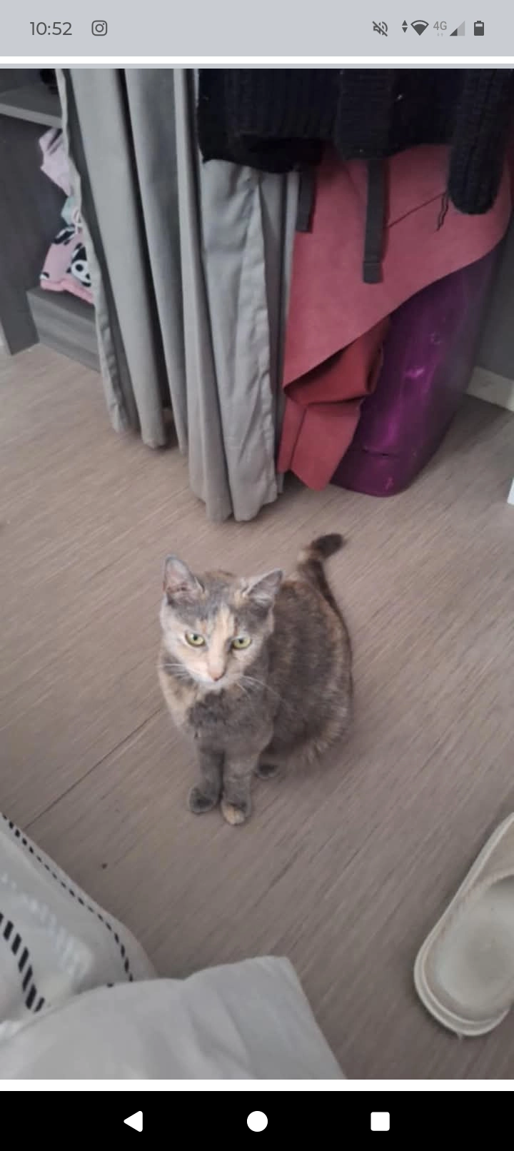 Pandora  - 31 Rue Jean-François Regnard, Lens