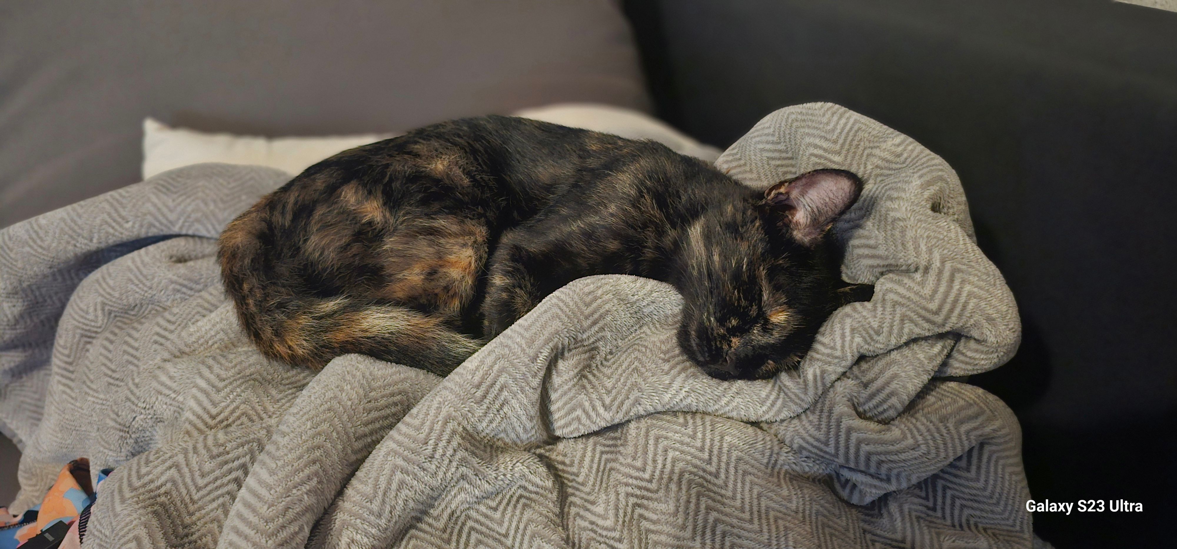 Lucy - Birkenweg, Breitenbach