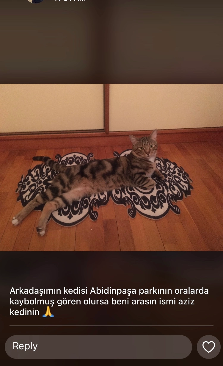 Aziz - Şehit İsmail Kılıç Sokak, Abidinpaşa Park, Ertuğrulgazi