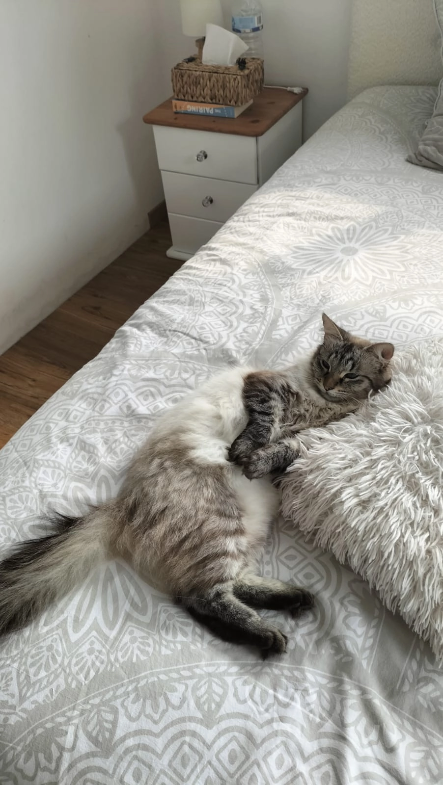 Tanos - Rue Clos er Lere, Berric