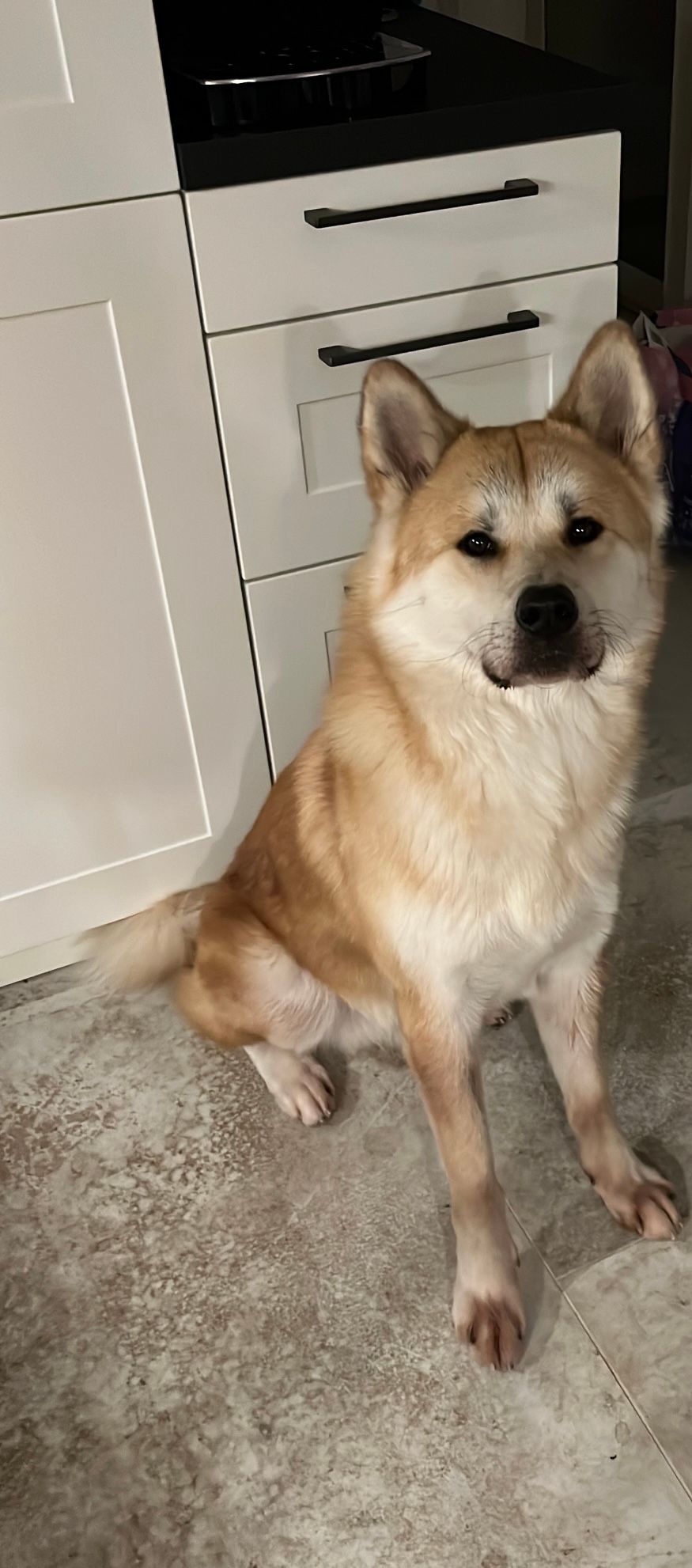 Malo - Gleidingen, Laatzen