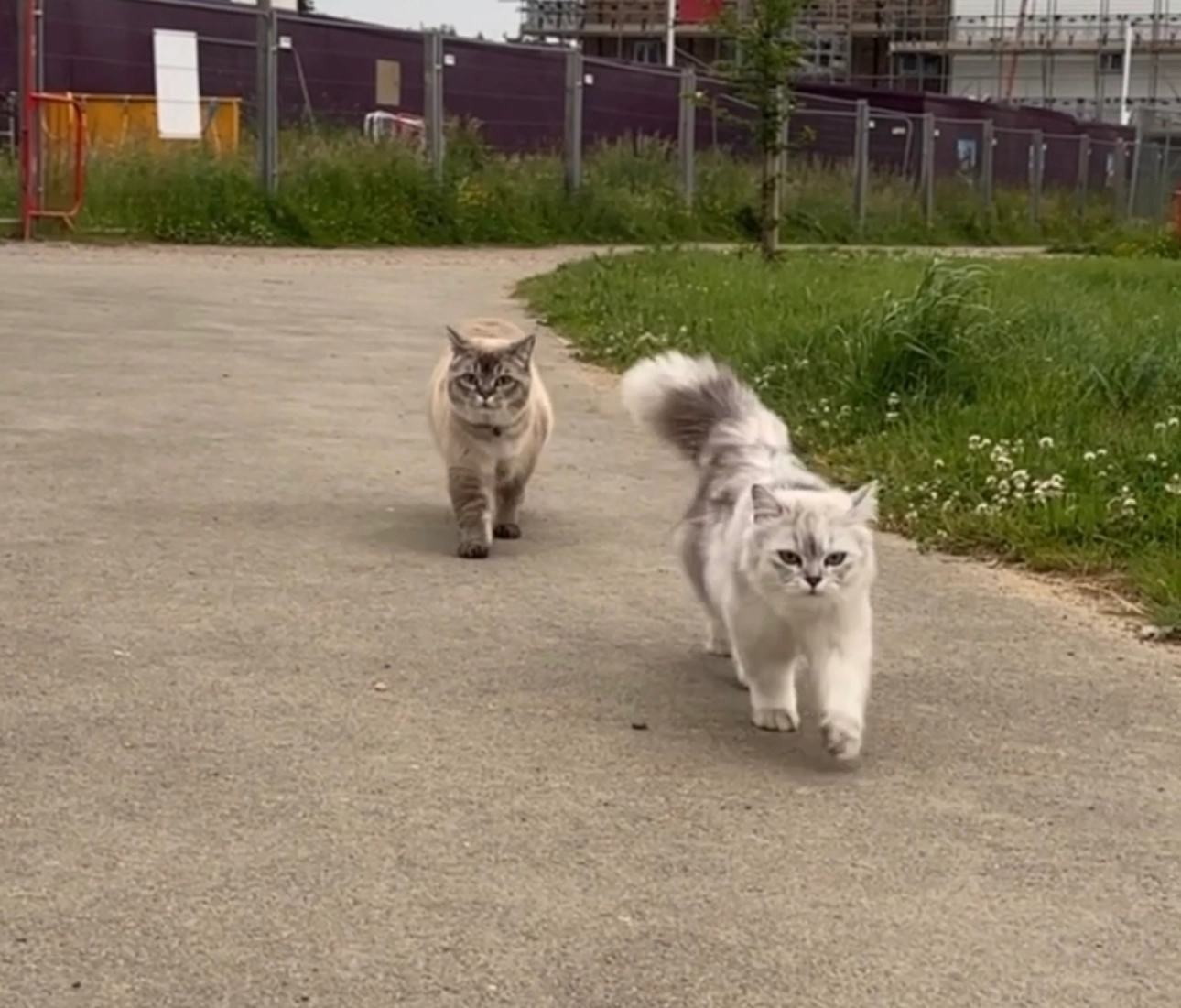 Margot - Grace Avenue, Hassocks