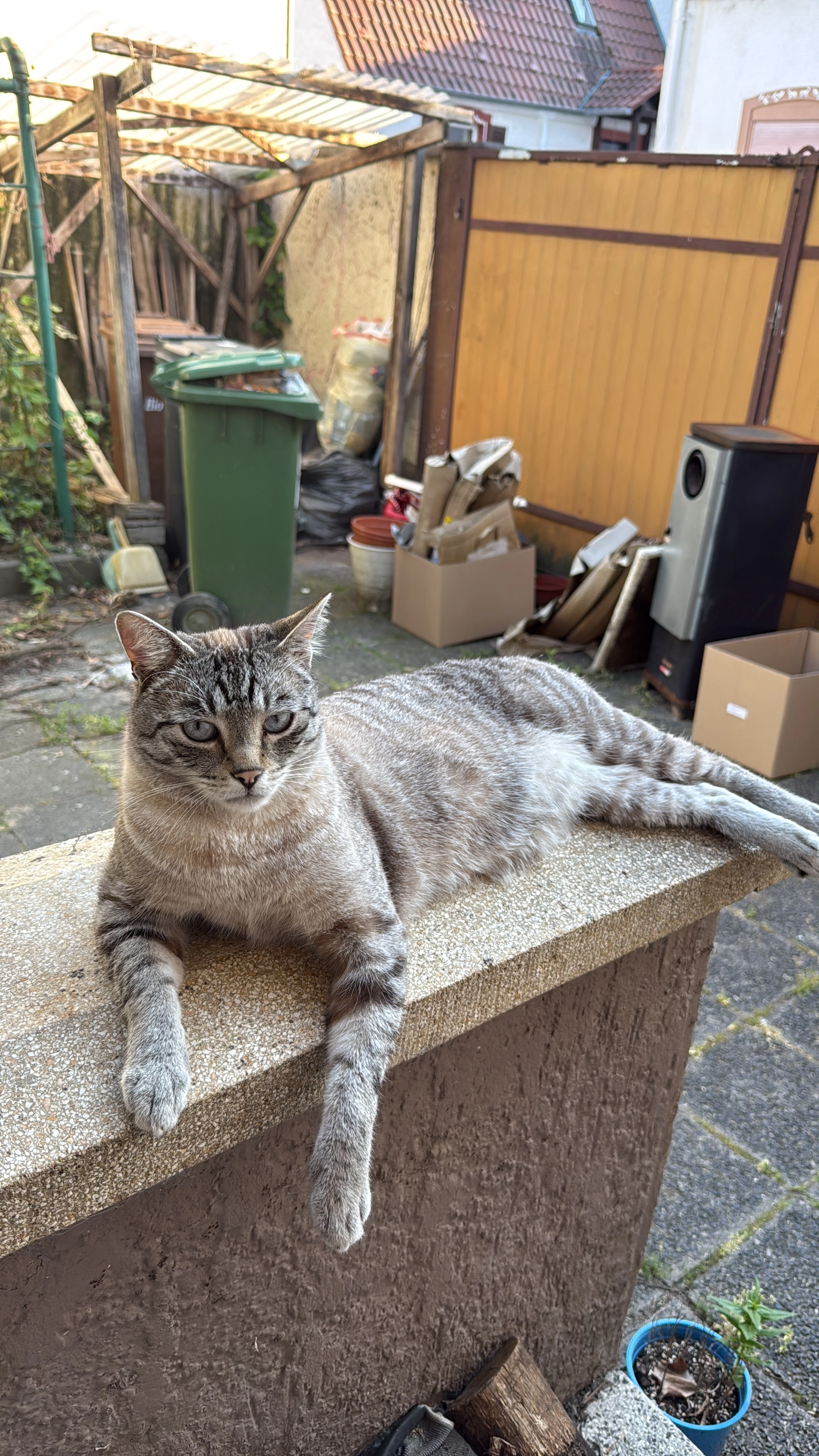 Hugo - Woogstraße, Hördt