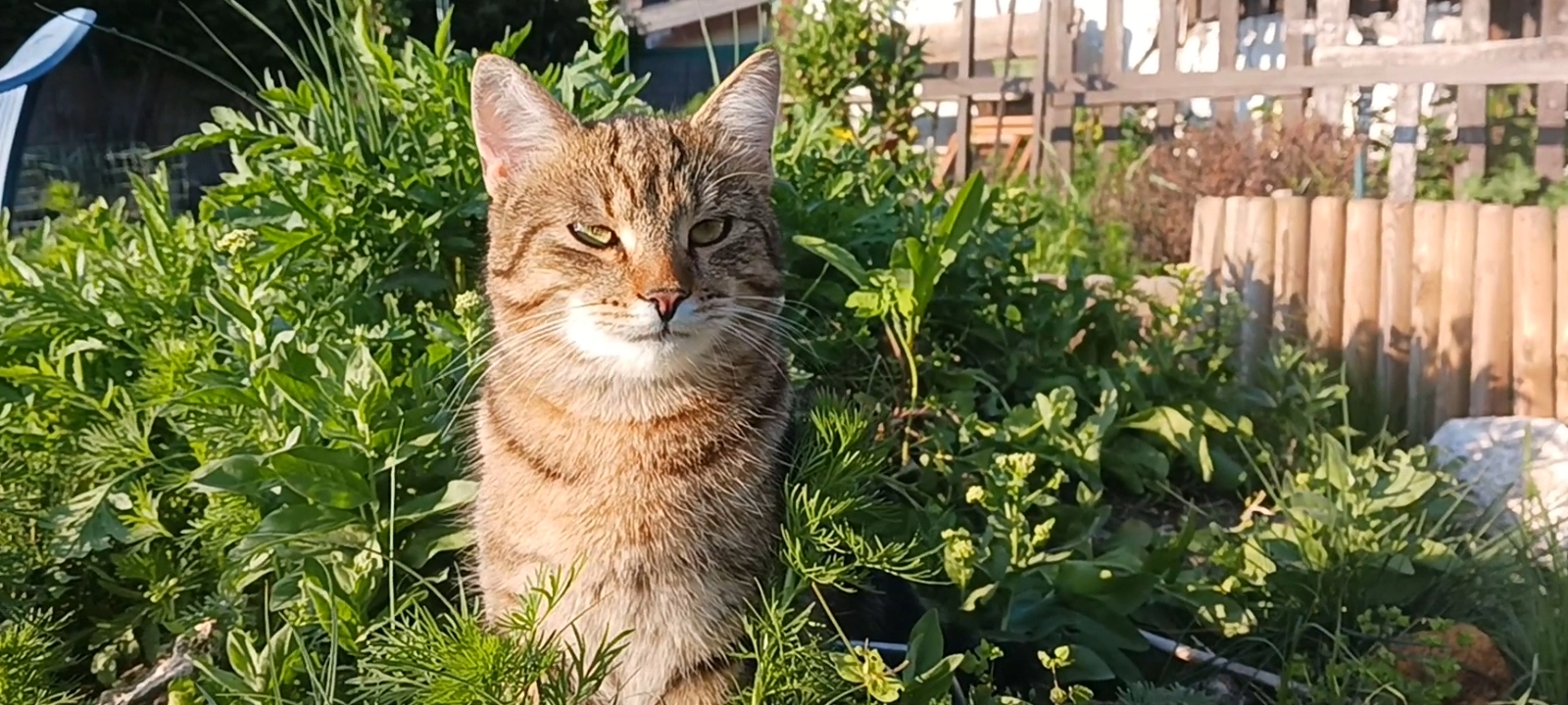 Ducati - Waldrandsiedlung, Loretto