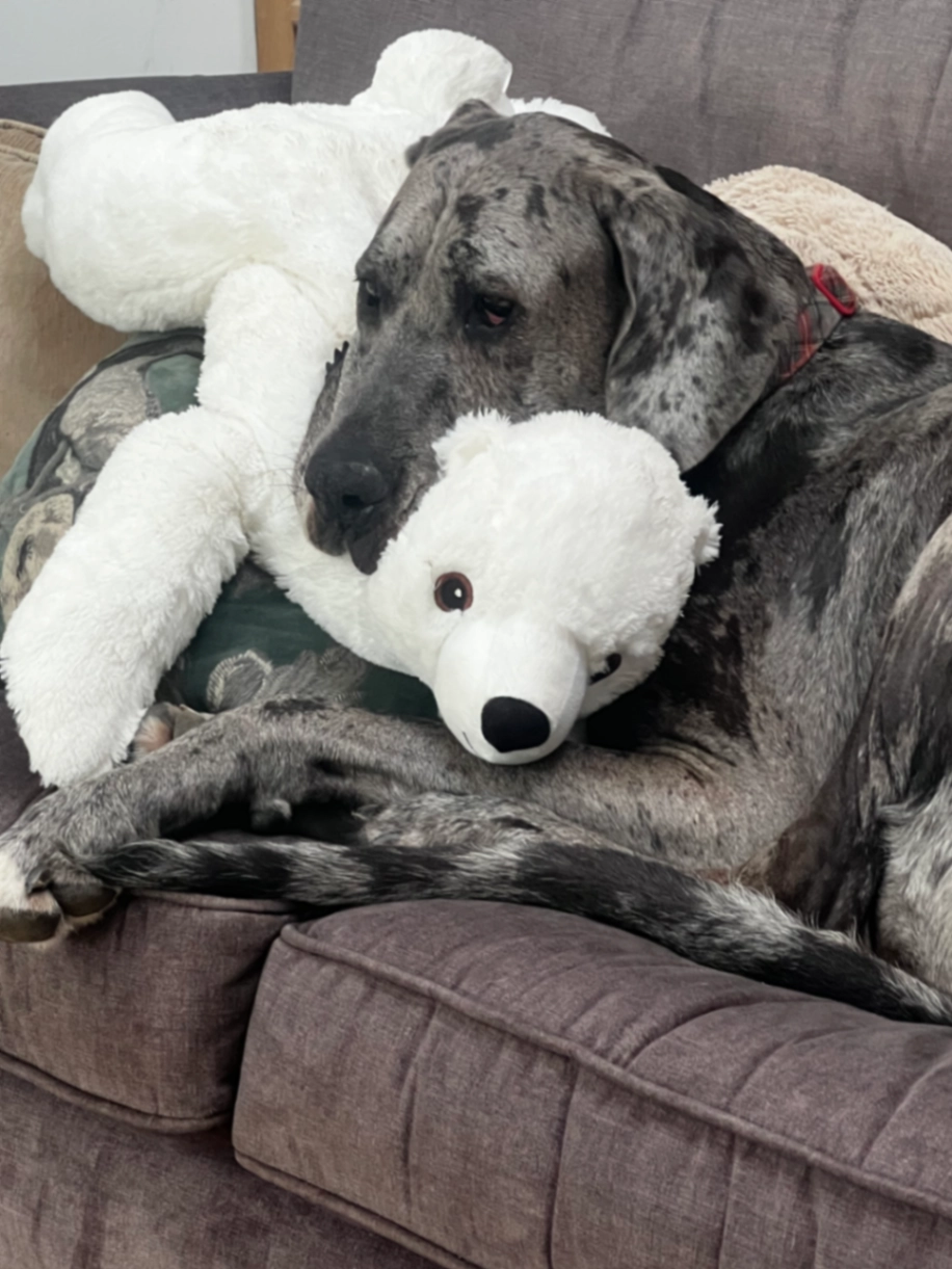 Marley - KT19 7, Epsom