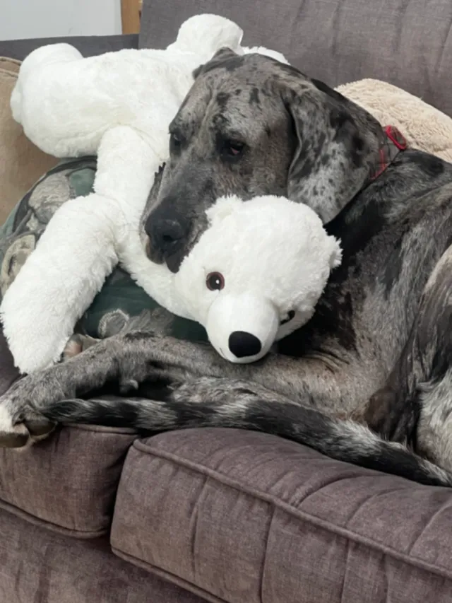 Marley - KT19 7, Epsom