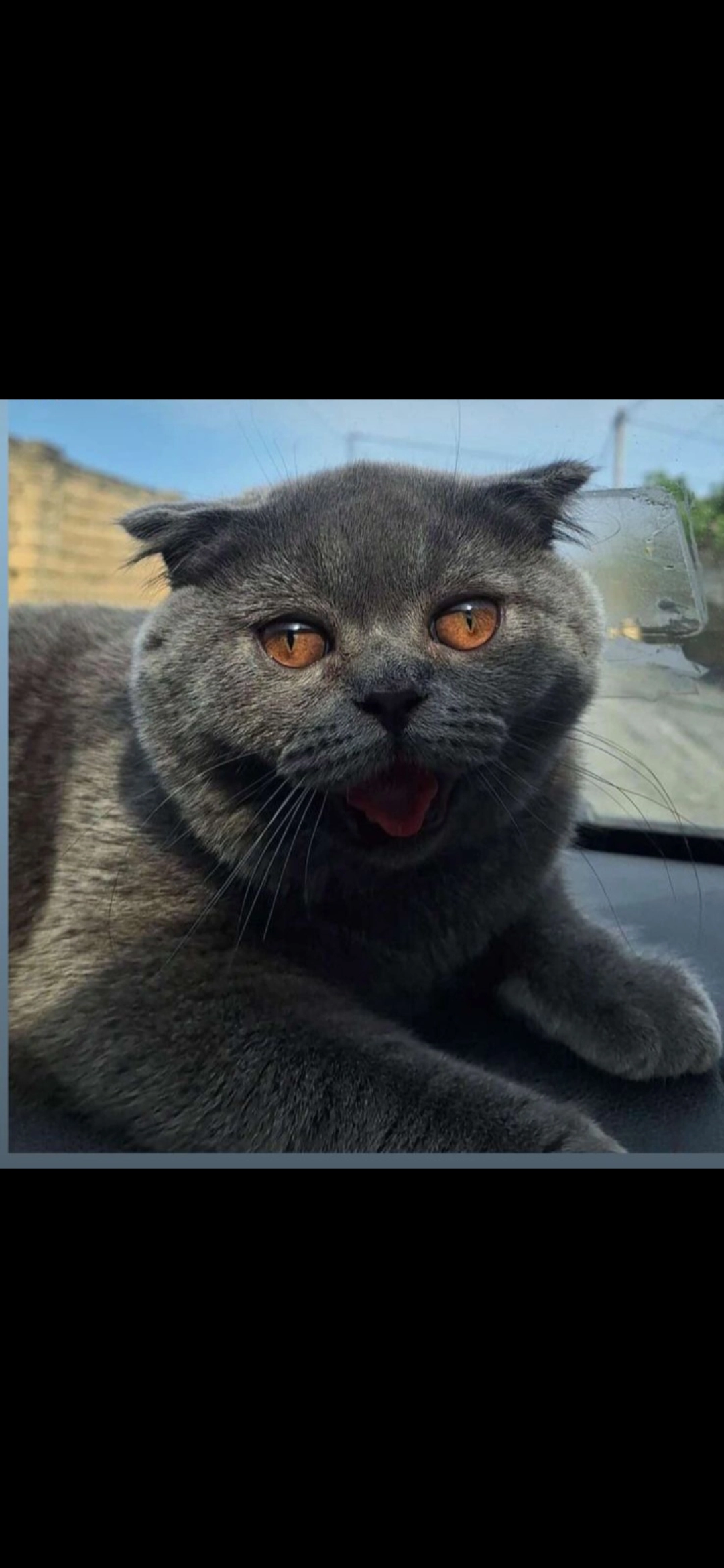 Dossi - 4-cü Mikrorayon, Baku