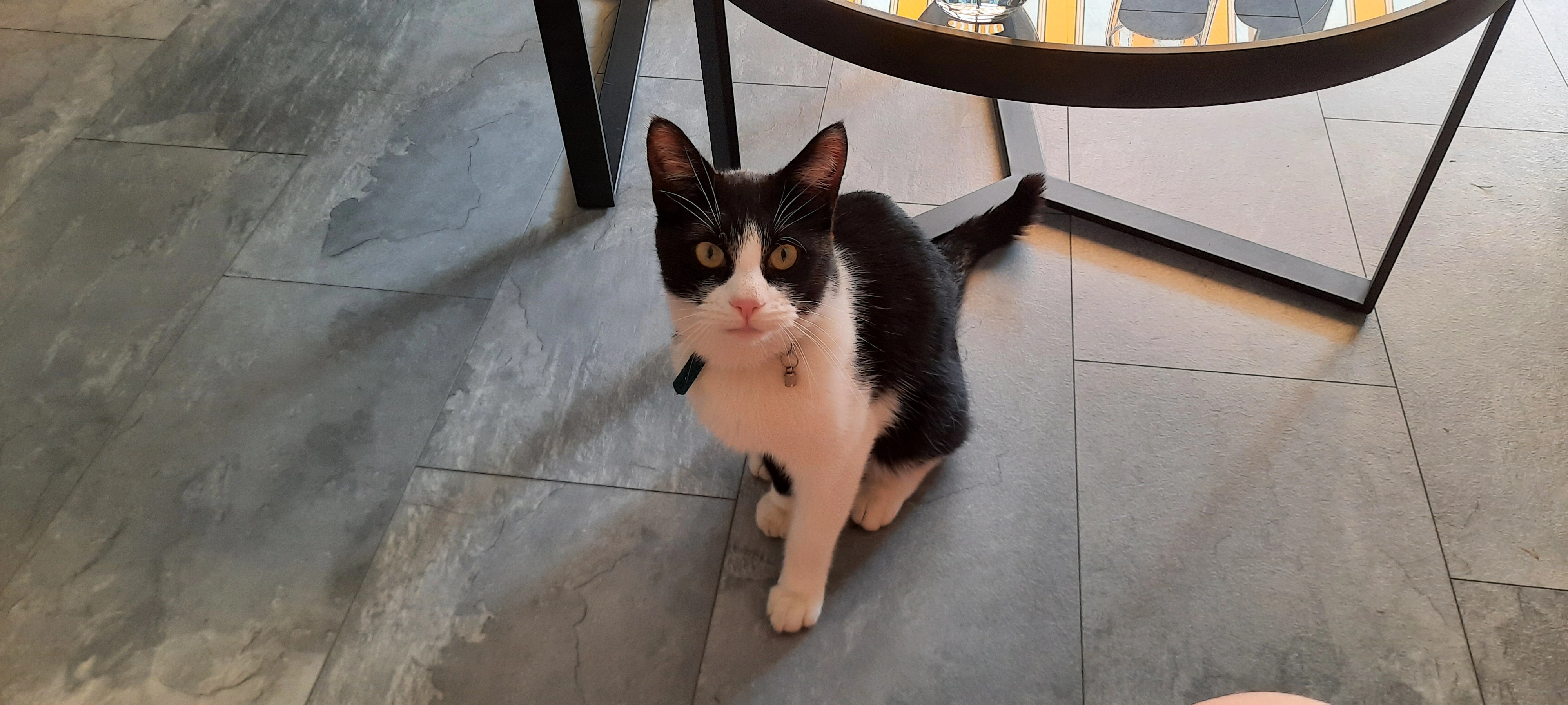 Nero - Van Schaikpad, Zwolle