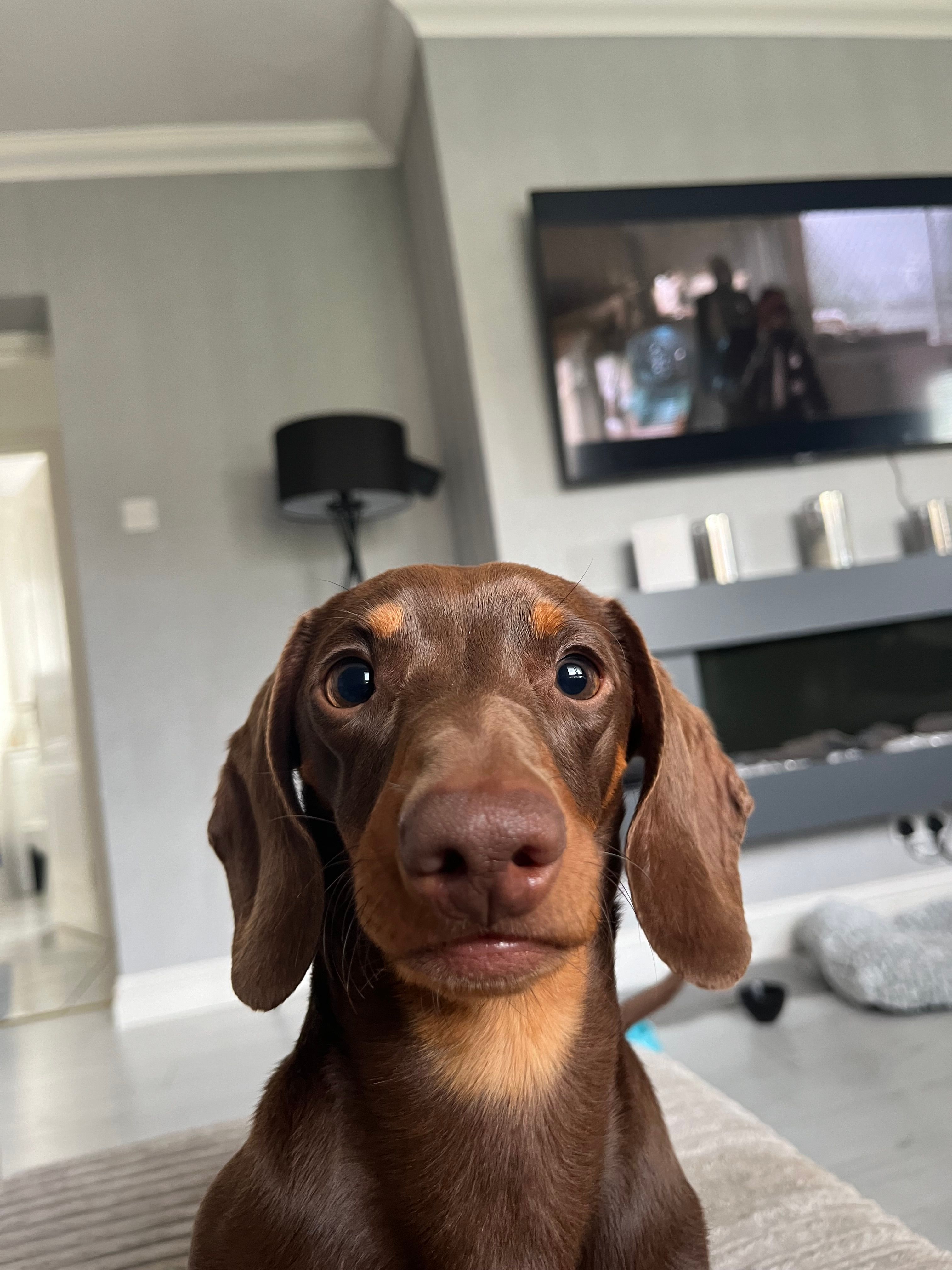 Pablo  - Summerlee, Prestonpans