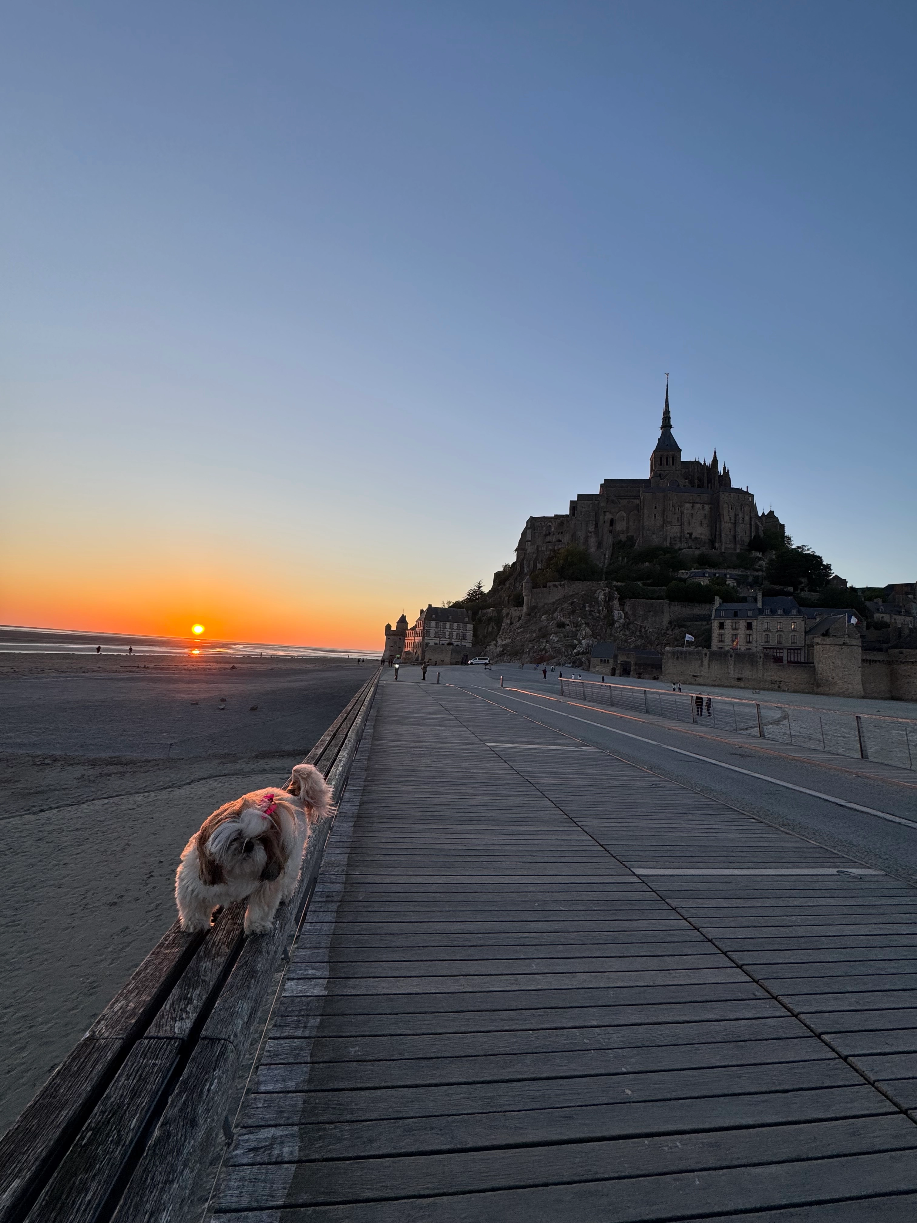 Sasha - Rue De La Libération, Mordelles