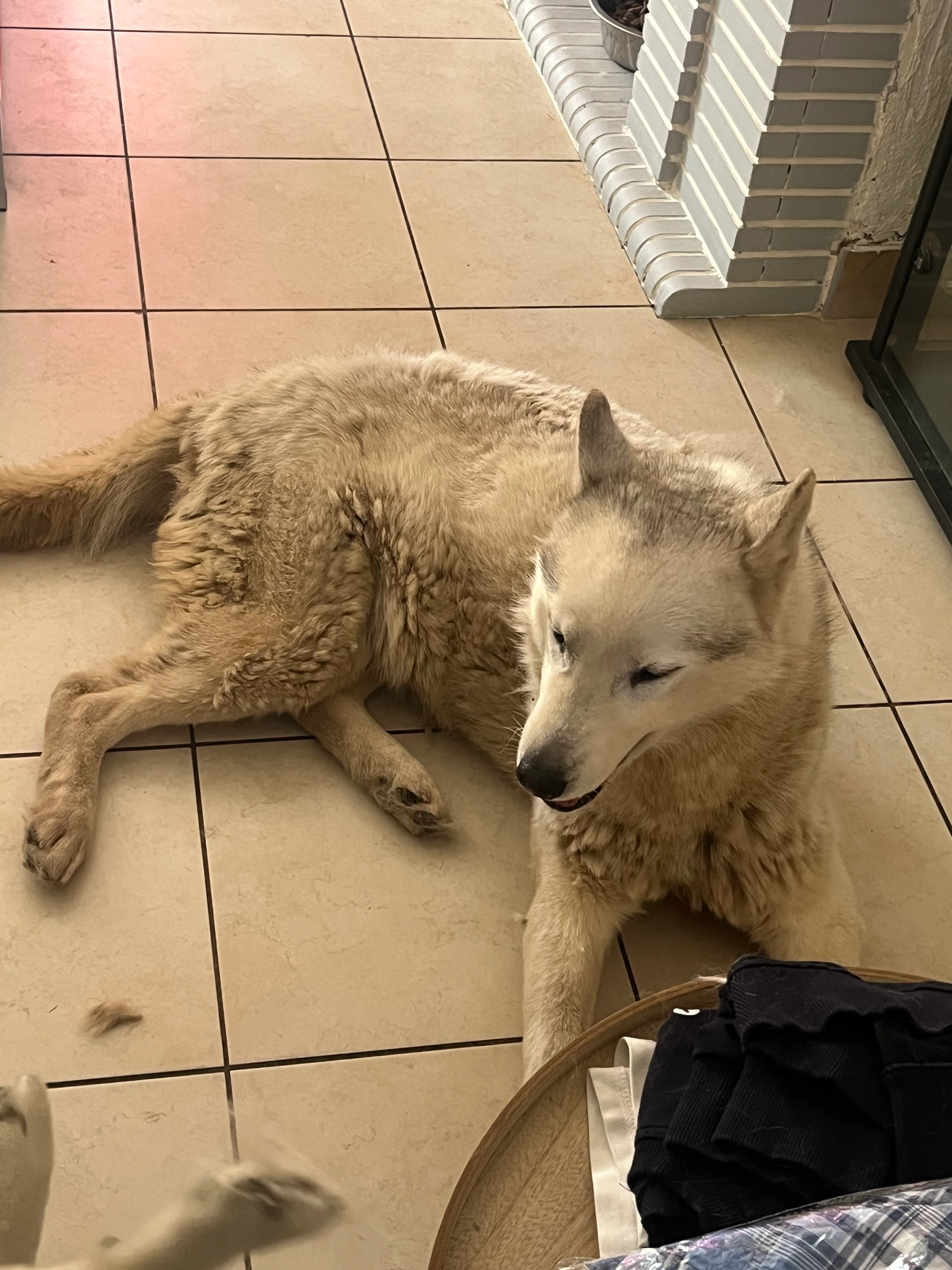 Snow - 266 Chaussée de Rouvroy, Abbeville