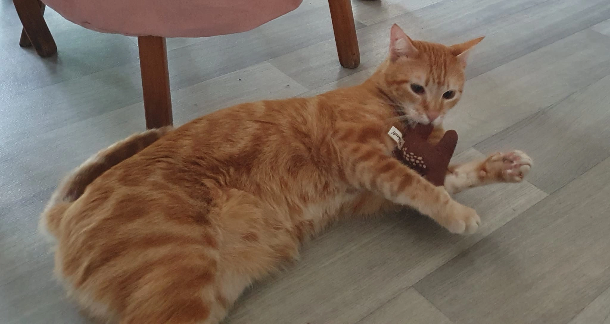 Rocket - Résidence du Point du Jour, Seilhac