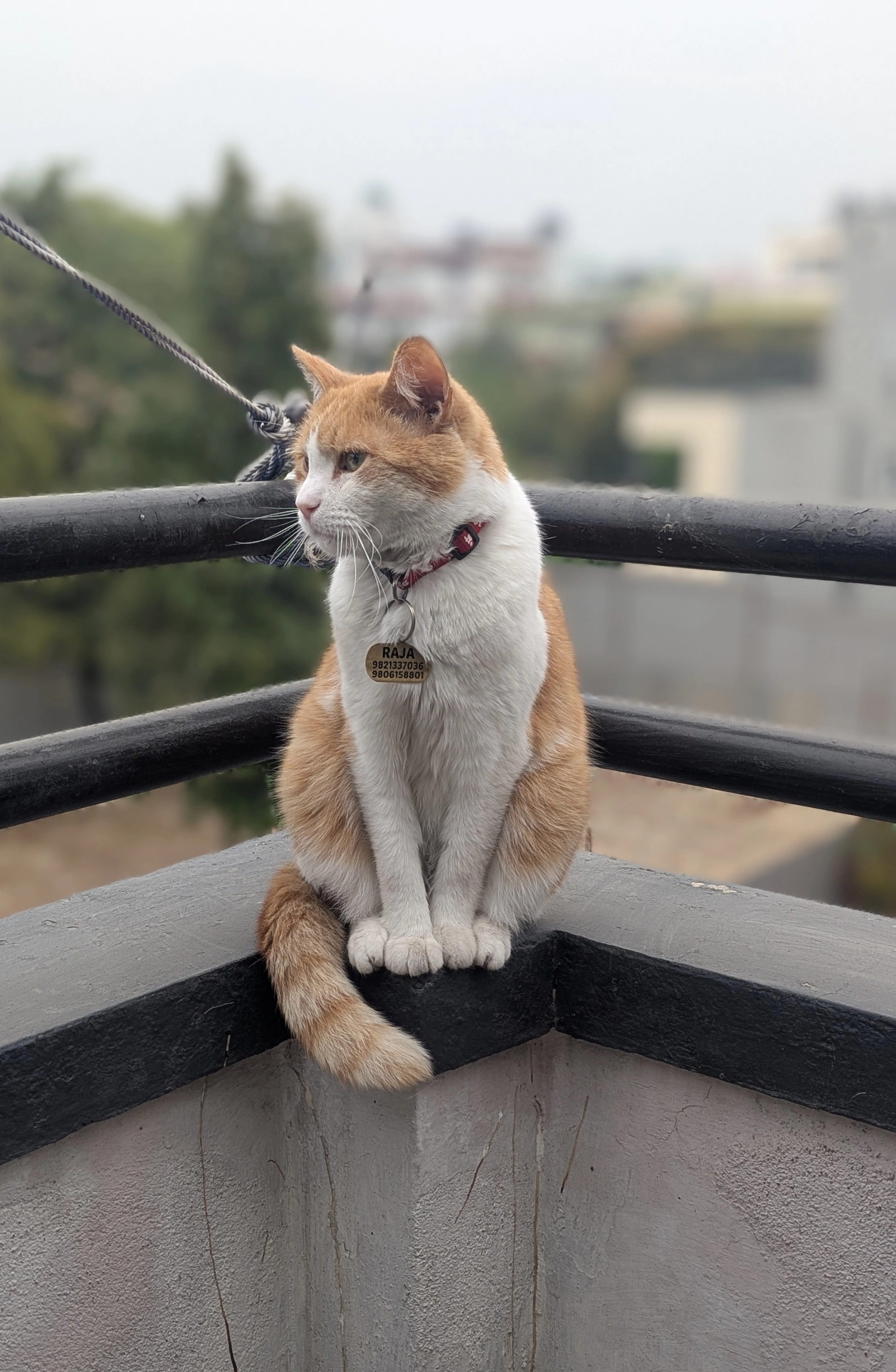 Babu - Sanepa, Lalitpur