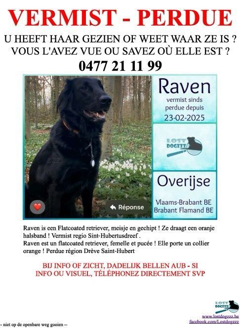 Raven - Blommaertstraat, Overijse