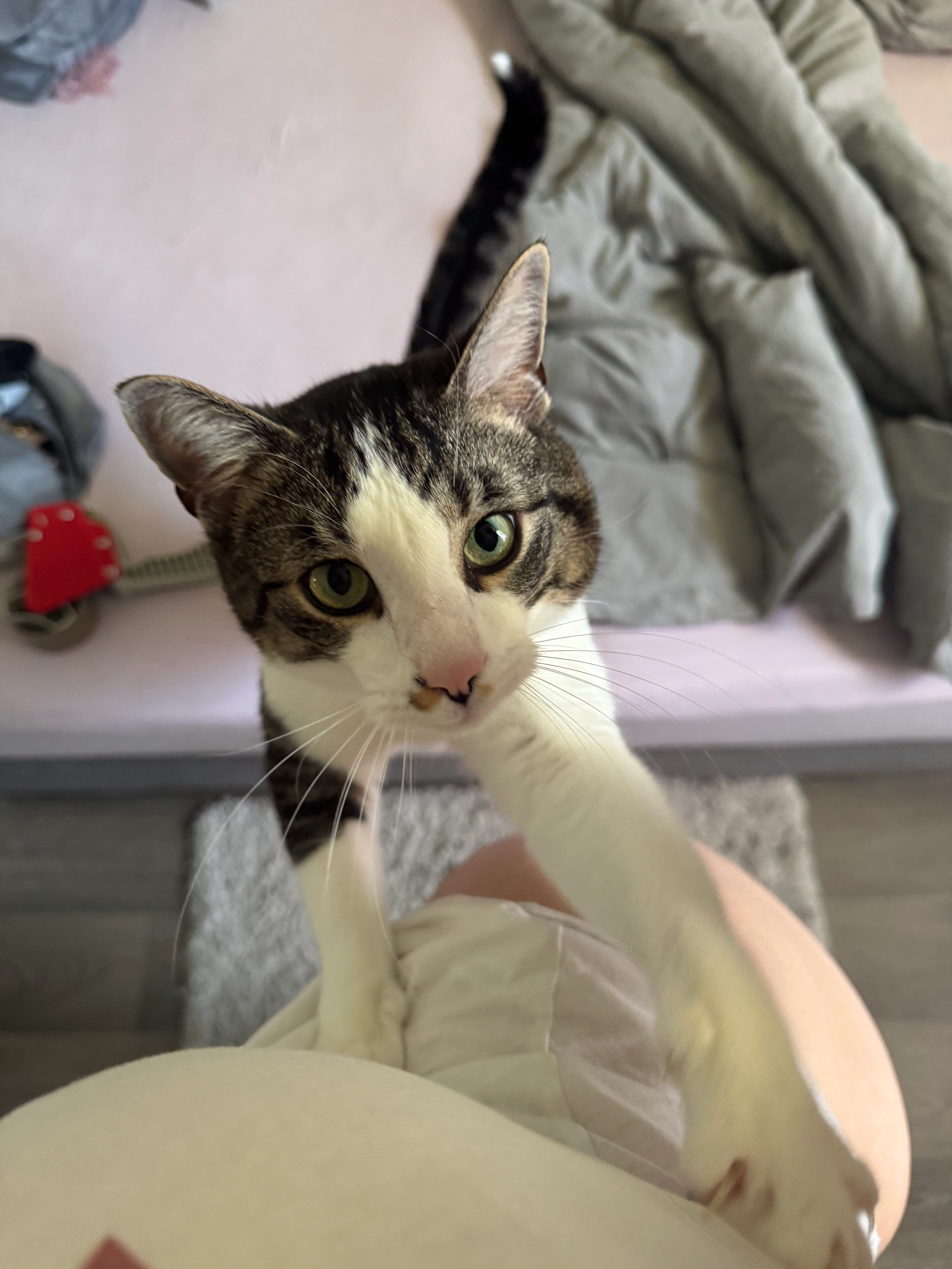 Pepper - Bautzner Straße 48, Leipzig