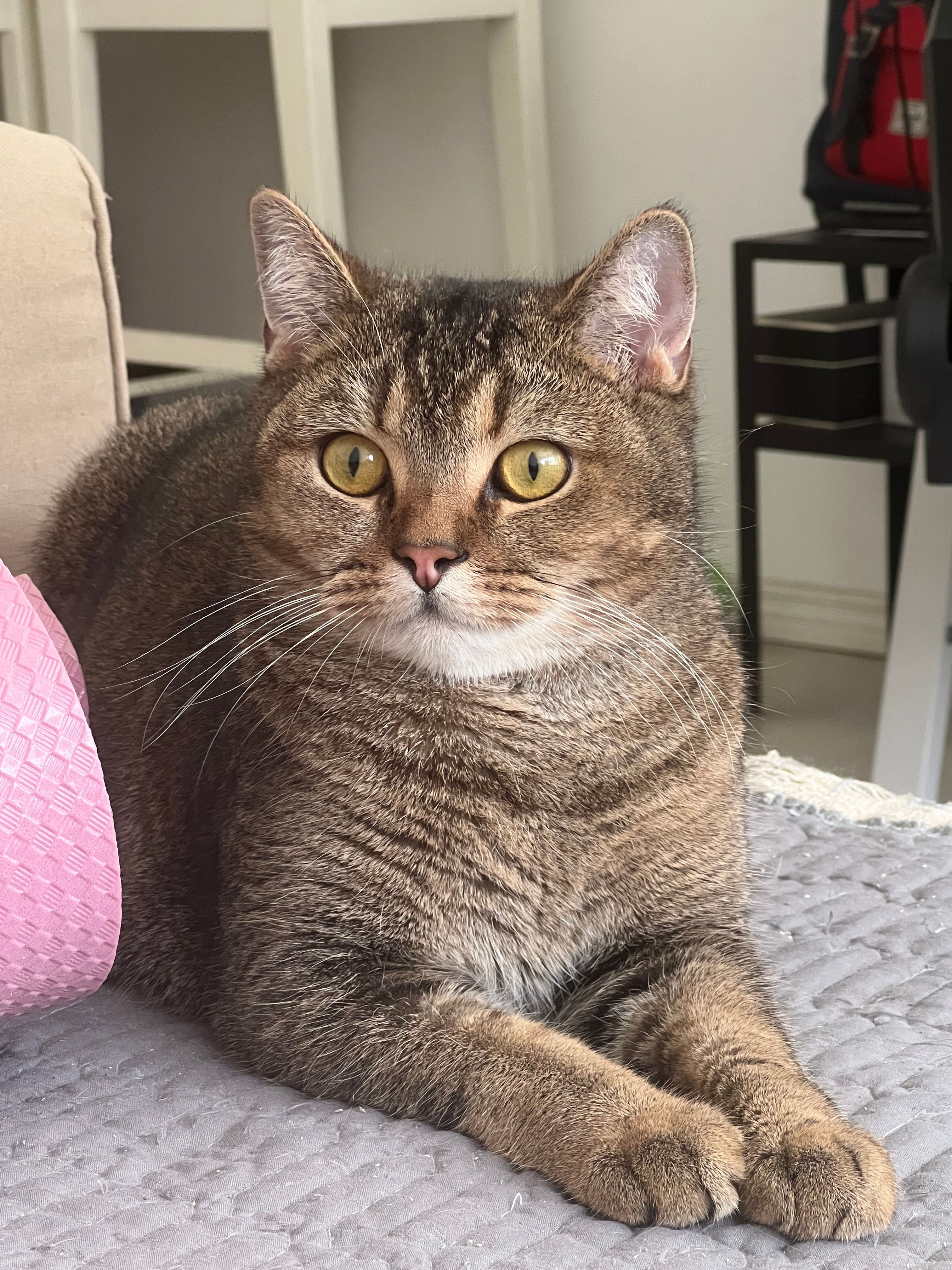 Coco - Korutie, Vantaa