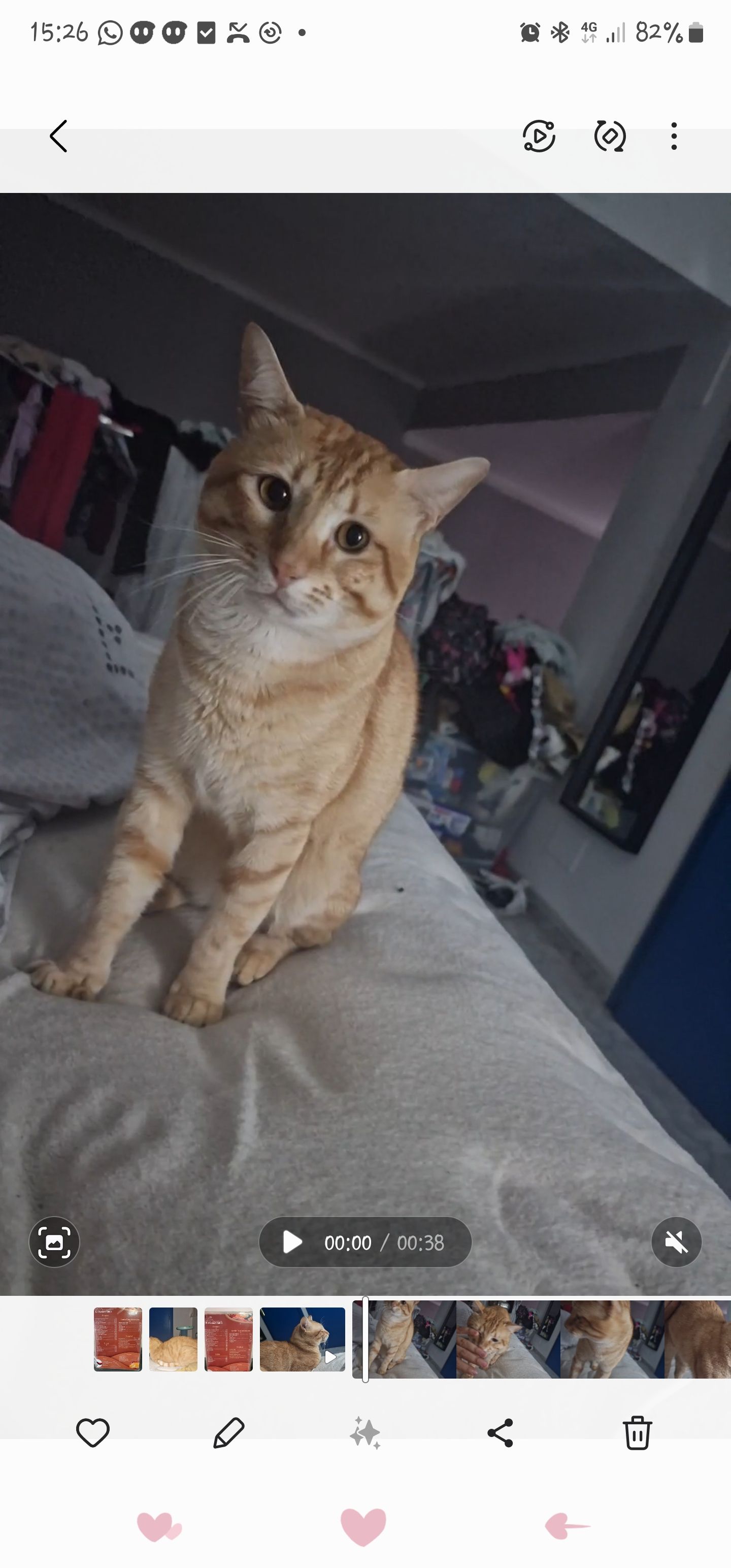 Zorro - Carrer del Bisbe Sastre, Palma