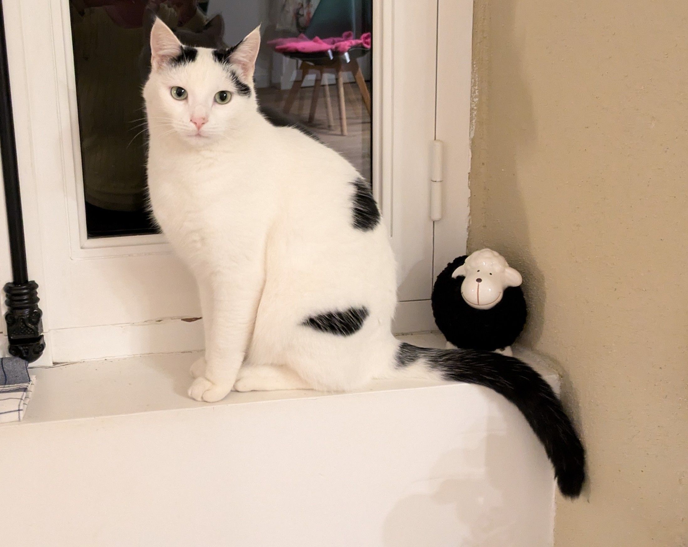 Bernik - Rue des Aubépines, Les Sables-d'Olonne