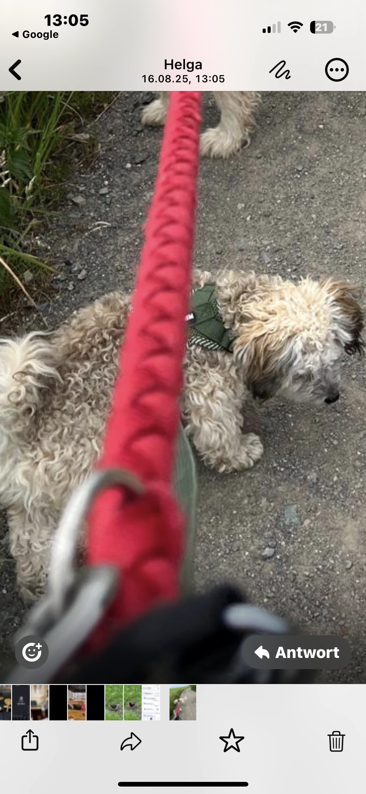 Max - Schulstraße, Zeulenroda-Triebes