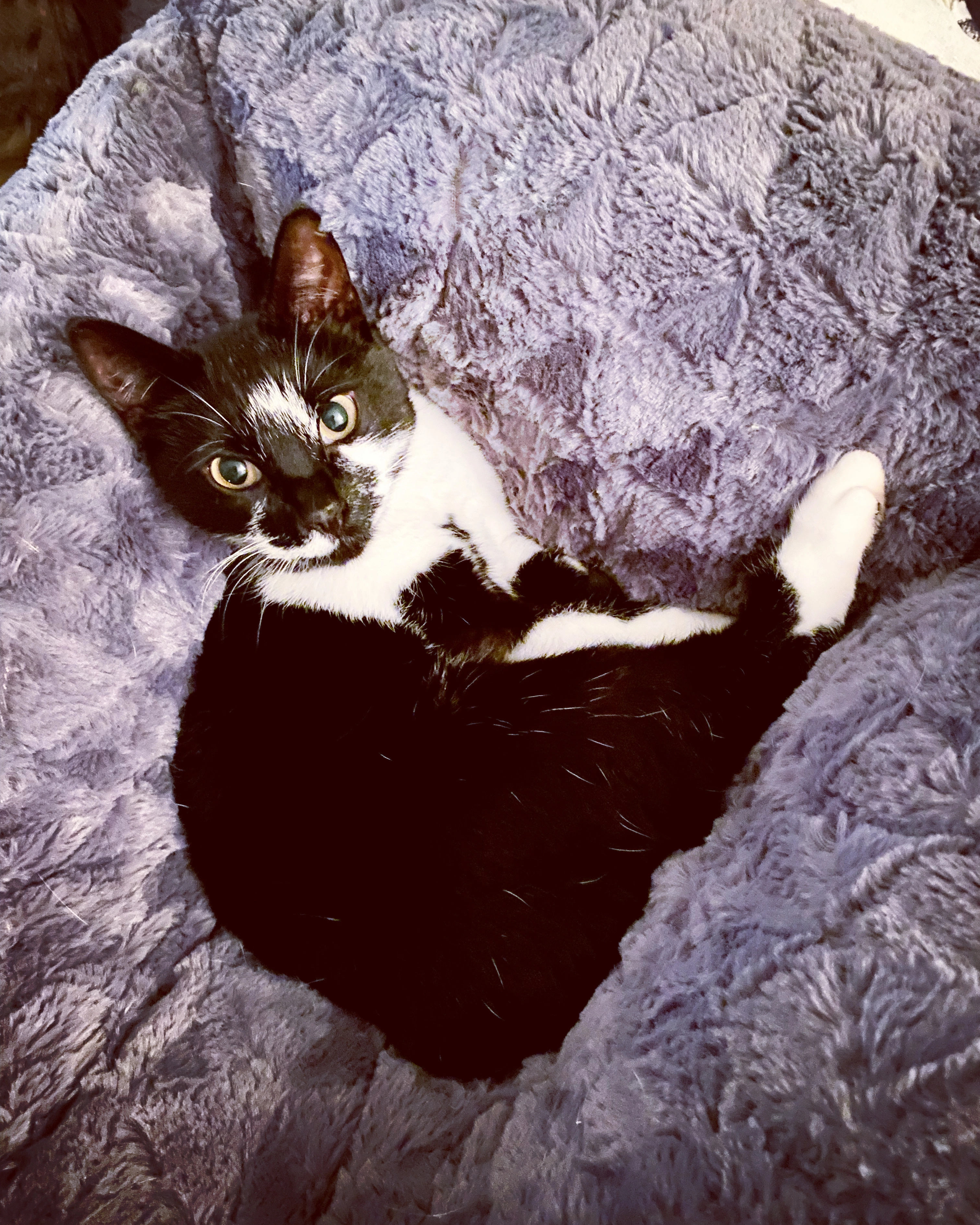 Blacky-Bureki - Euthalerstrasse, Euthal