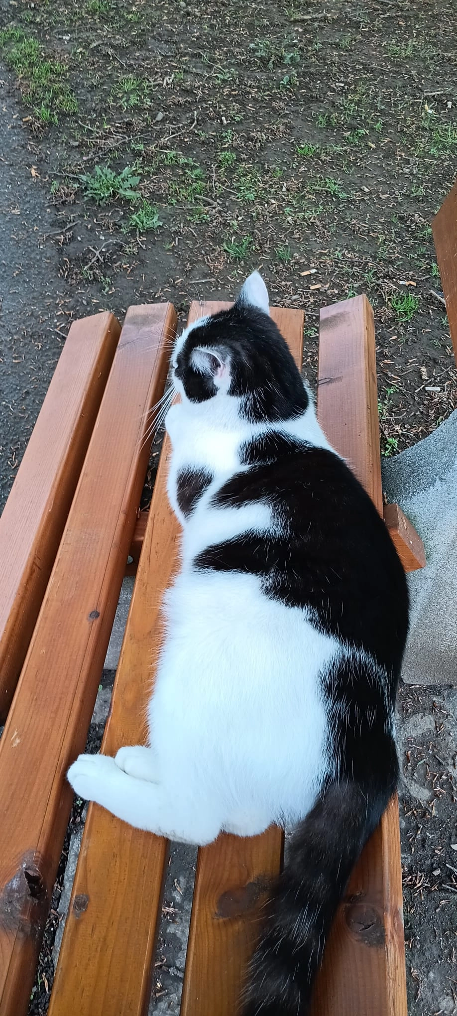 Timo - Kirchengasse, Zeltweg