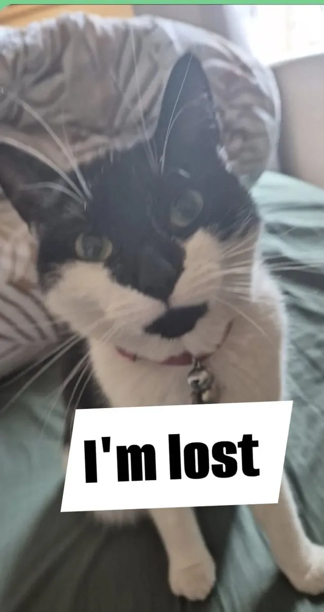 Oreo - Burgess Close, Hinckley