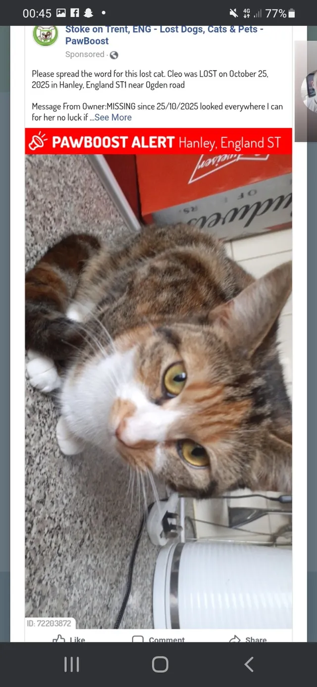 Cleo - Ogden Road, Hanley, Stoke-on-Trent