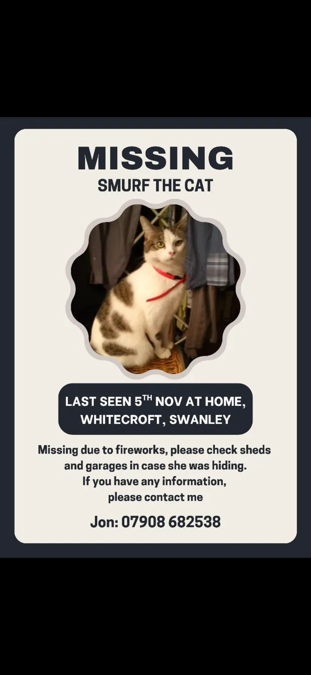 Smurf - Whitecroft, Swanley