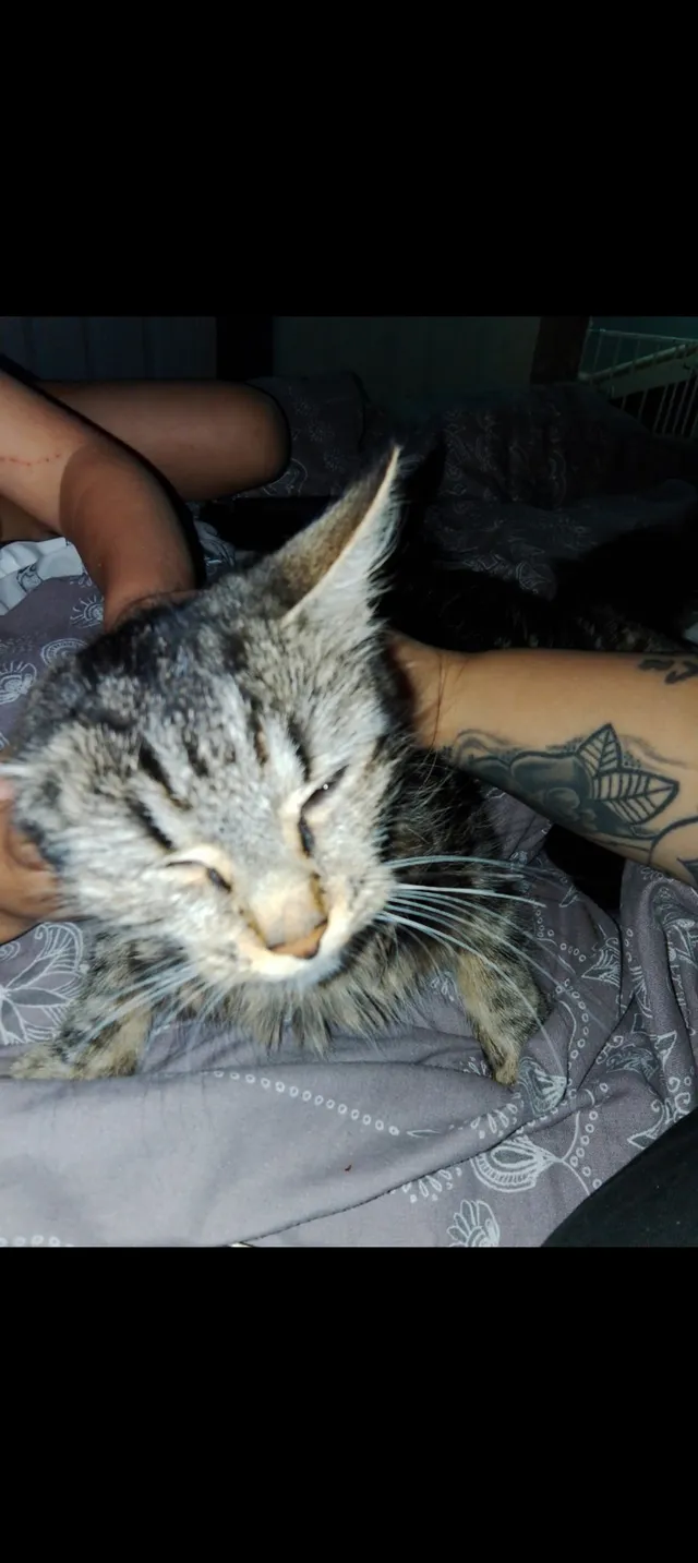 Narla - Willenhall
