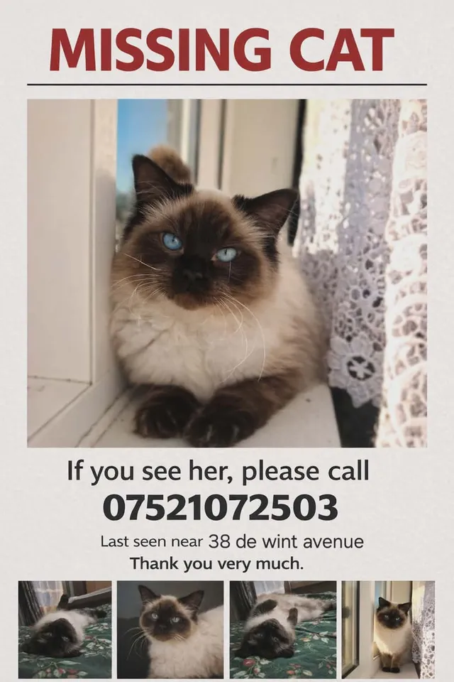 koko - De Wint Avenue, Lincoln