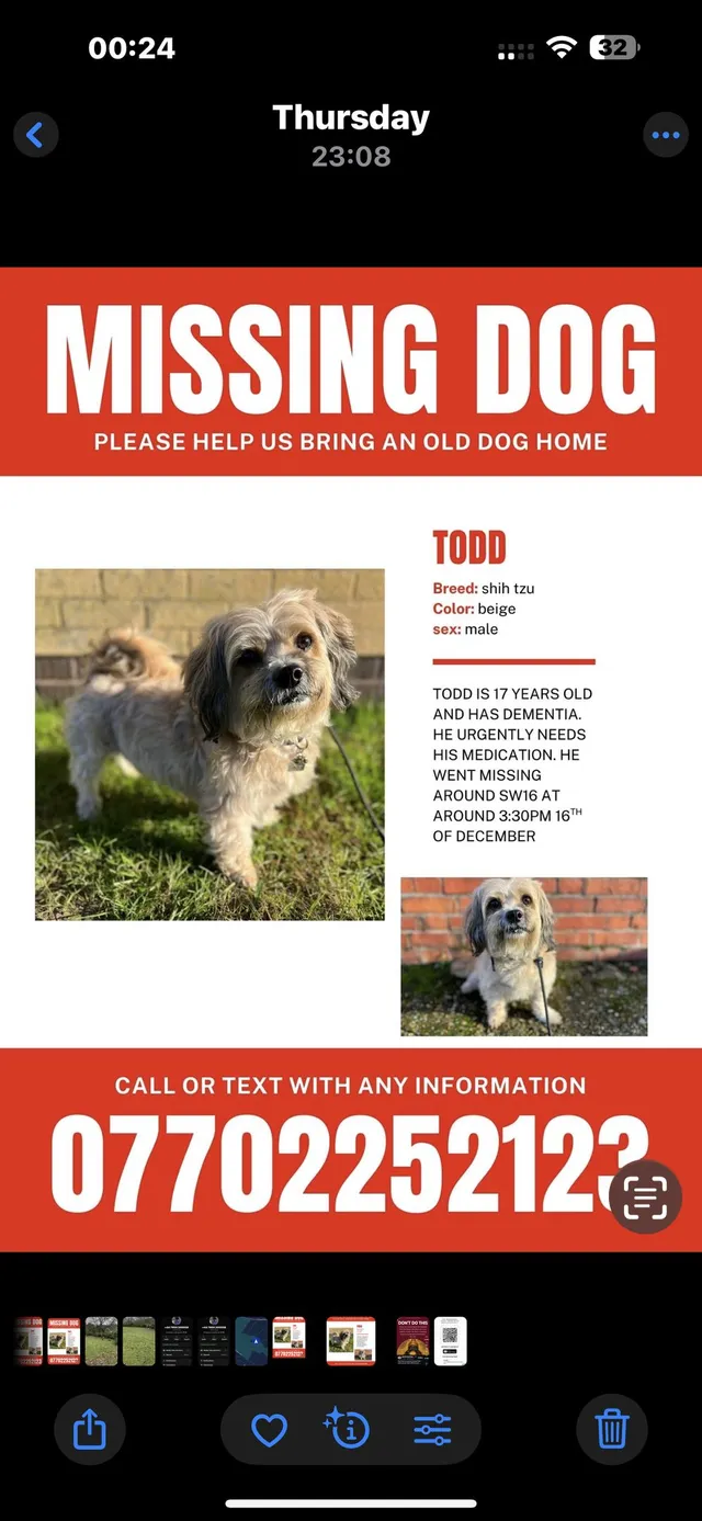 Todd - London