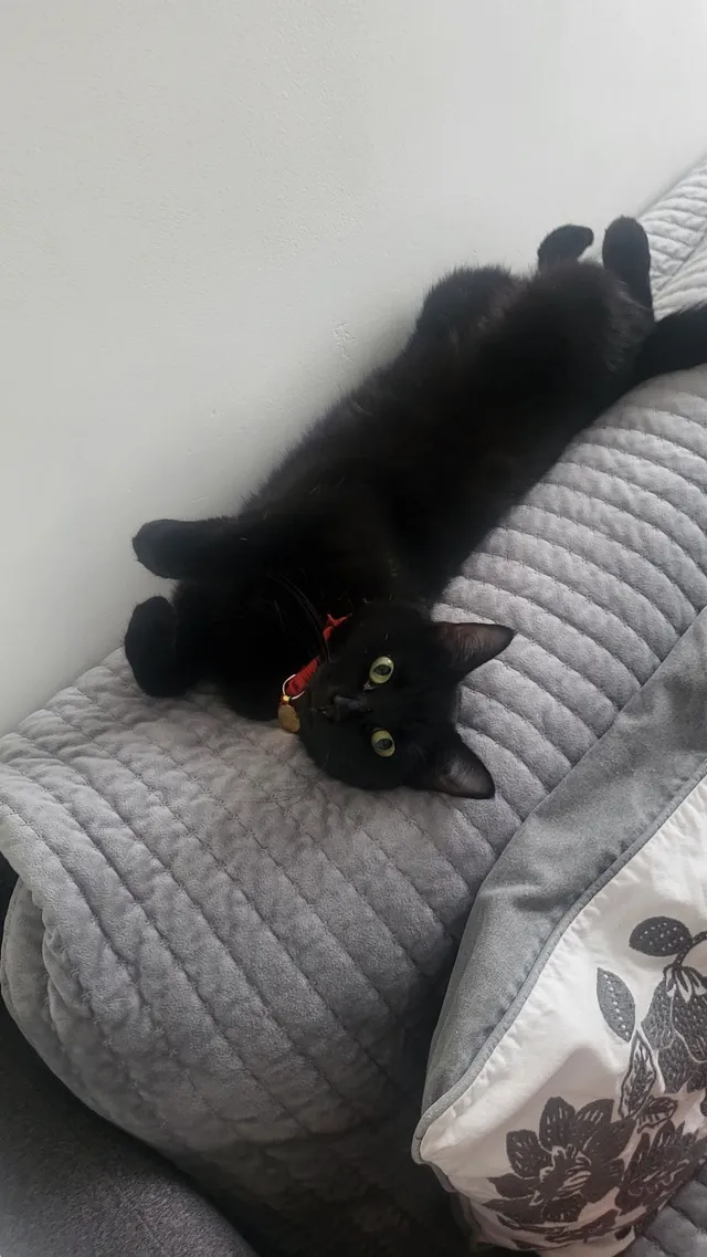 Kira - Rivermill, Harlow